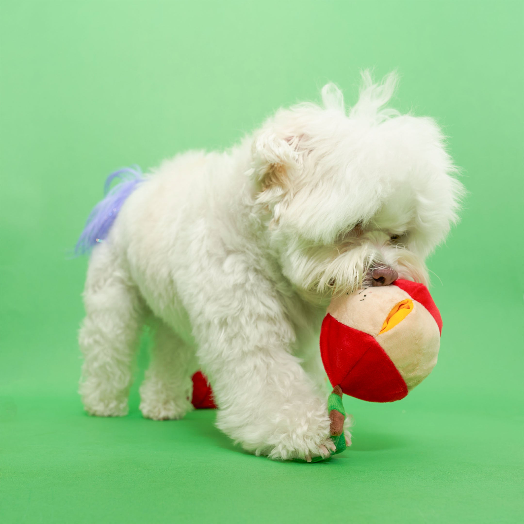 APPLE NOSEWORK TOY