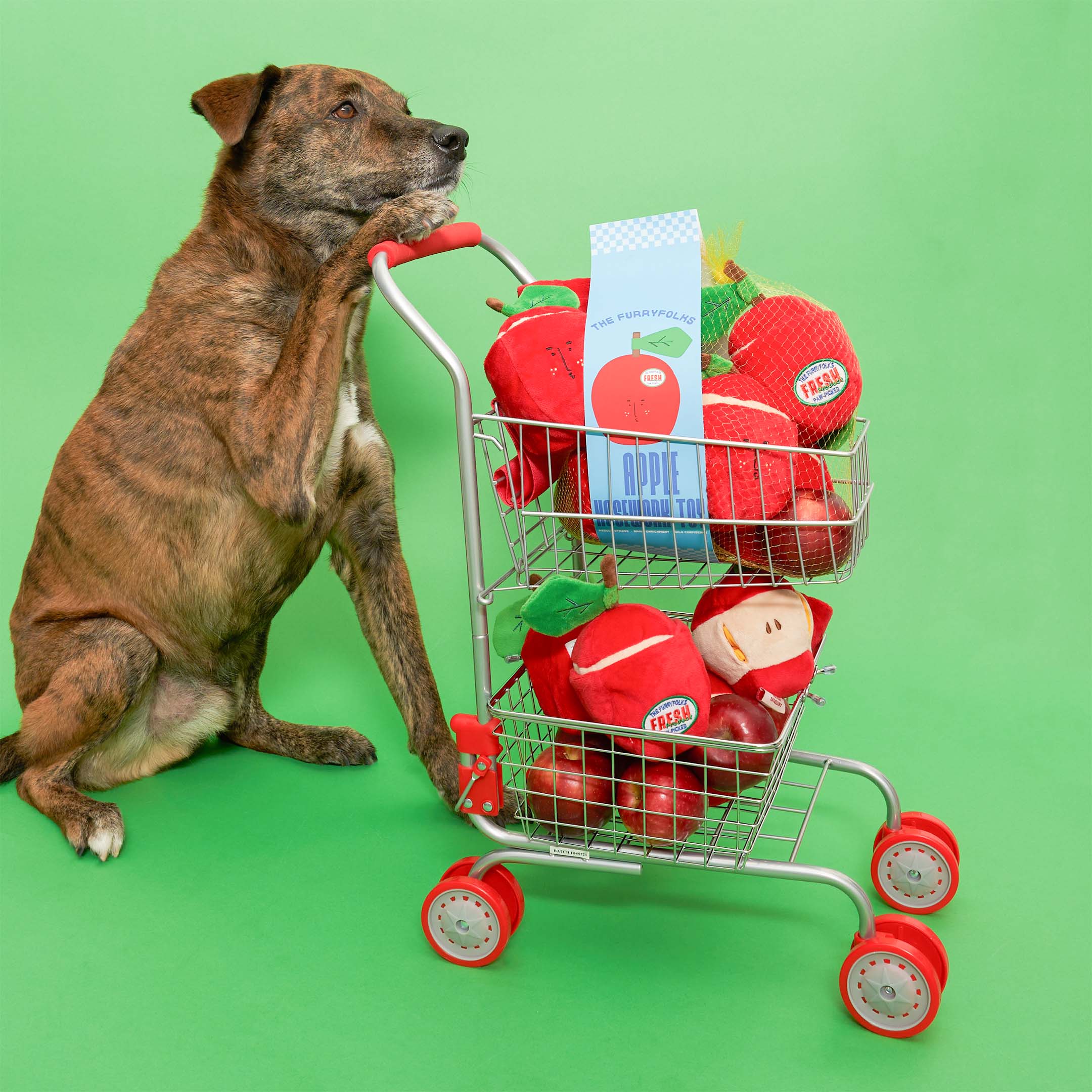 APPLE NOSEWORK TOY