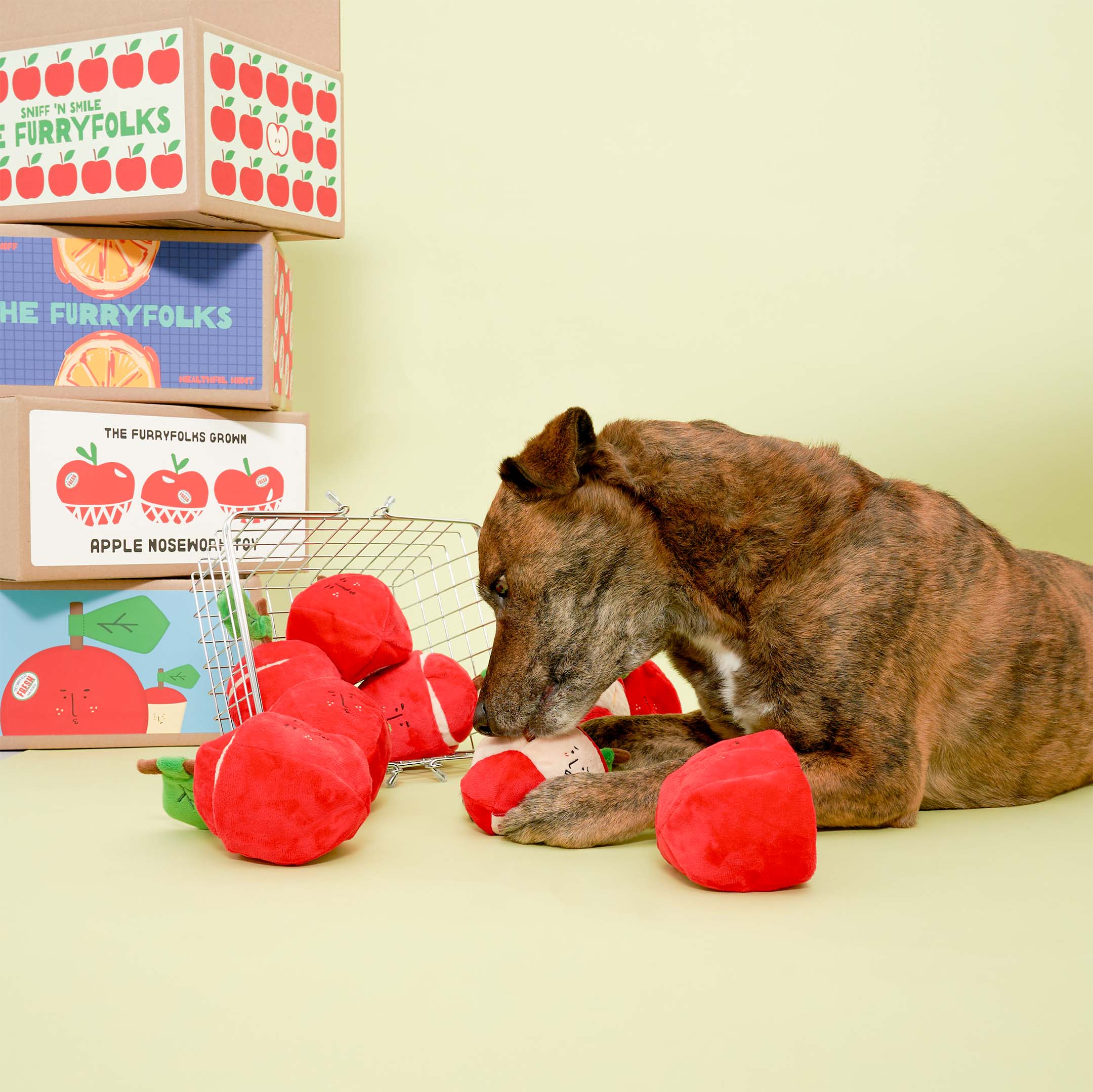 APPLE NOSEWORK TOY