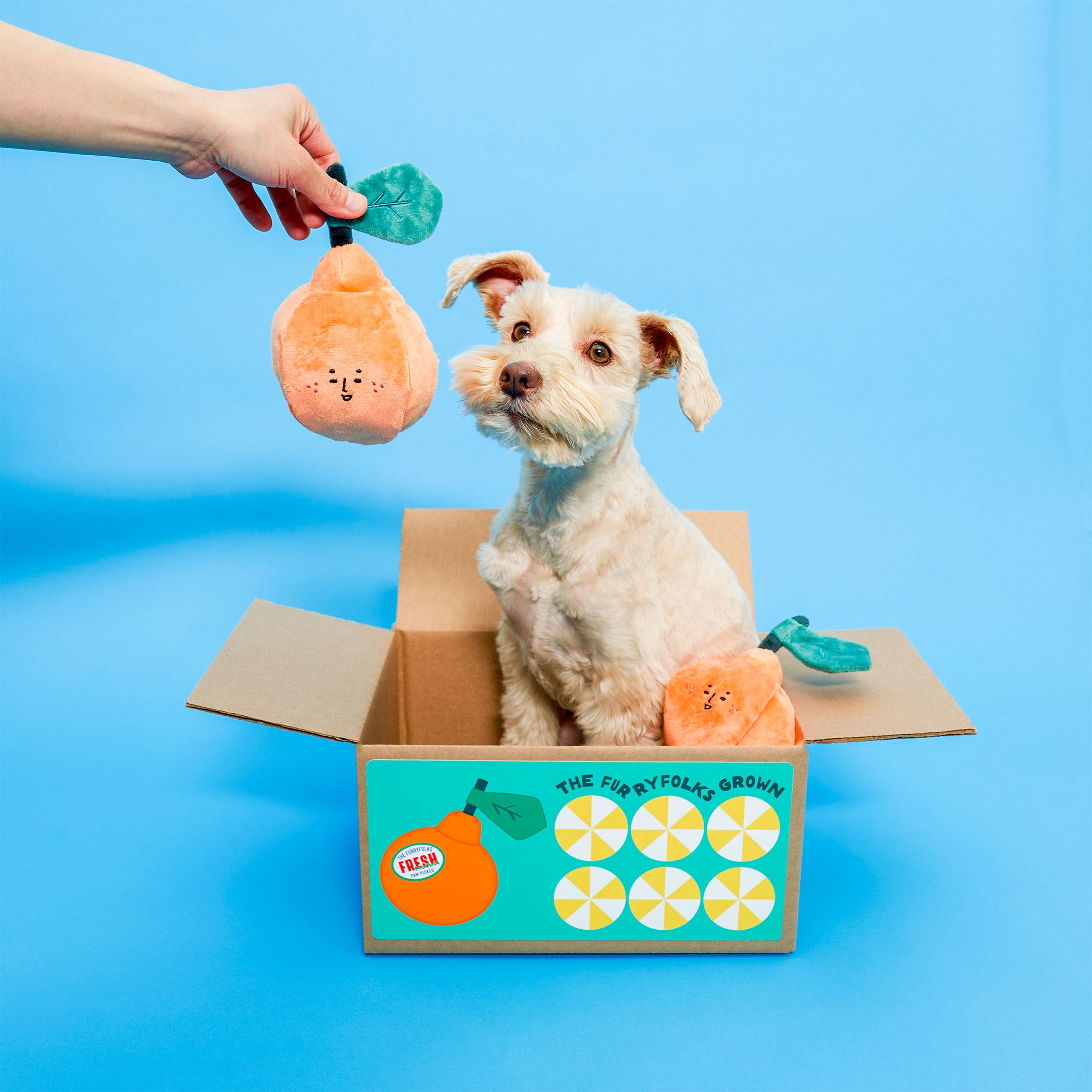 ORANGE NOSEWORK TOY