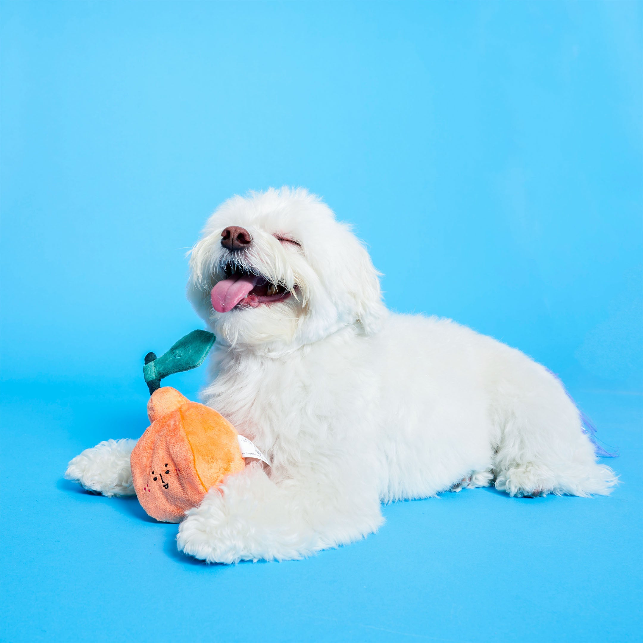 ORANGE NOSEWORK TOY