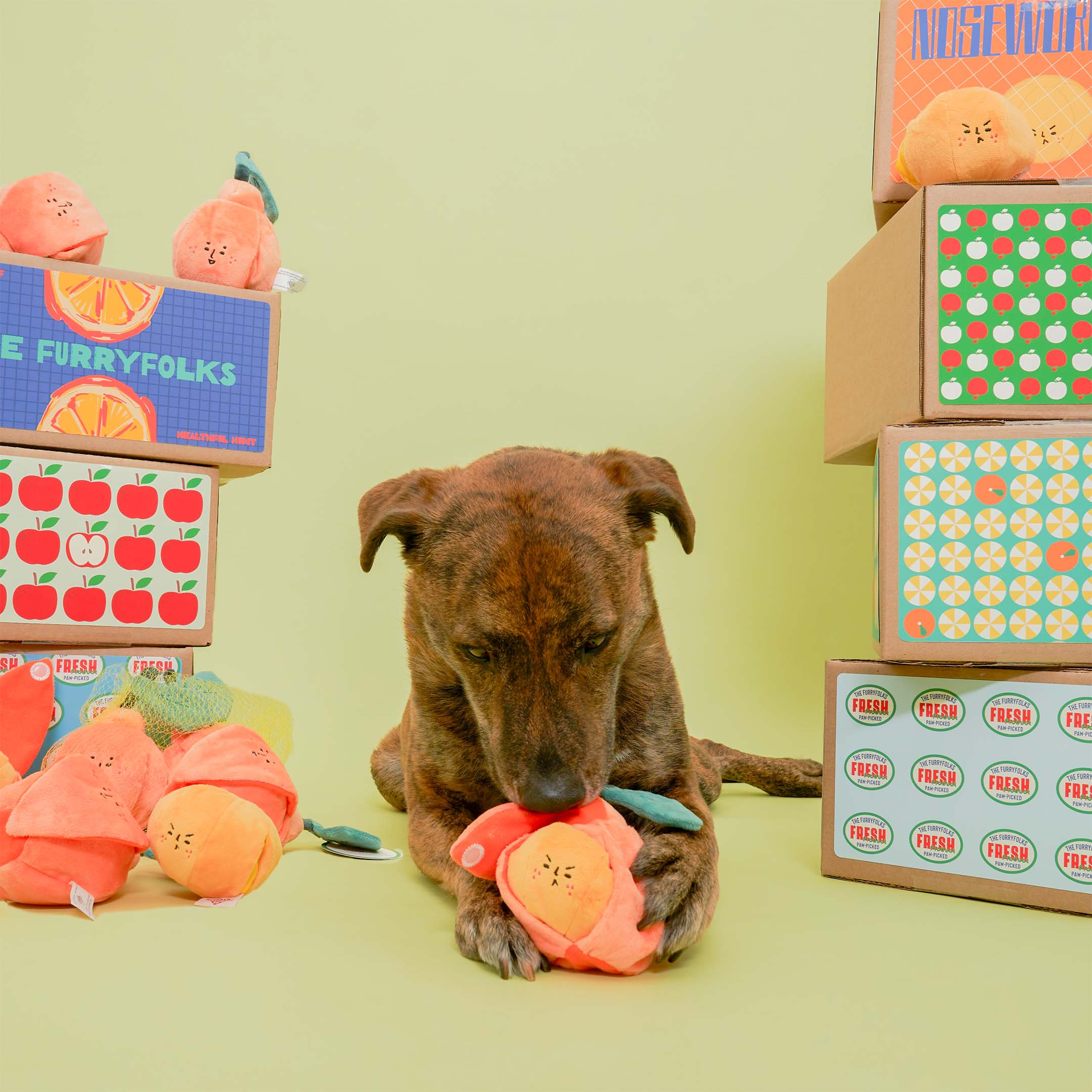ORANGE NOSEWORK TOY