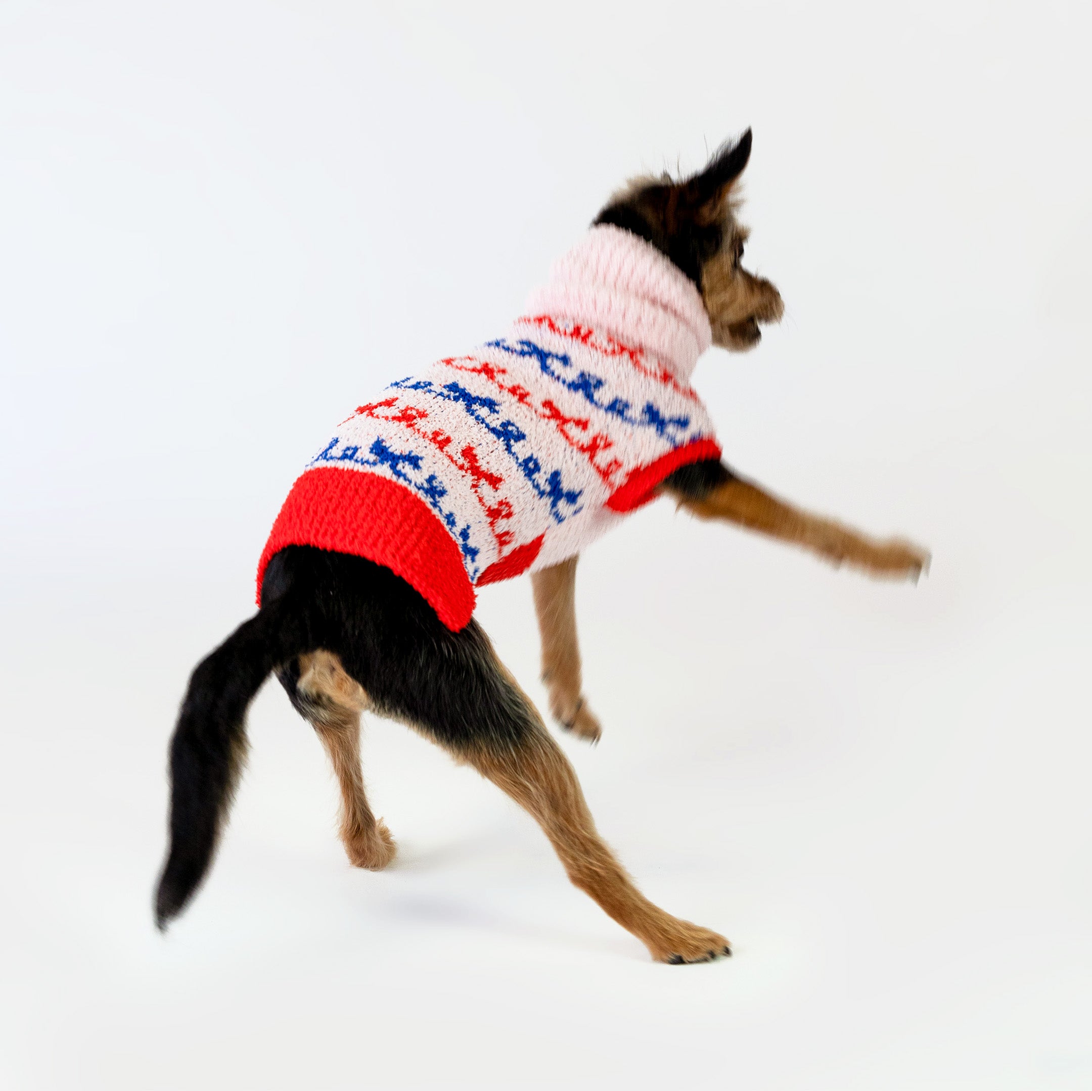 BOW SWEATER