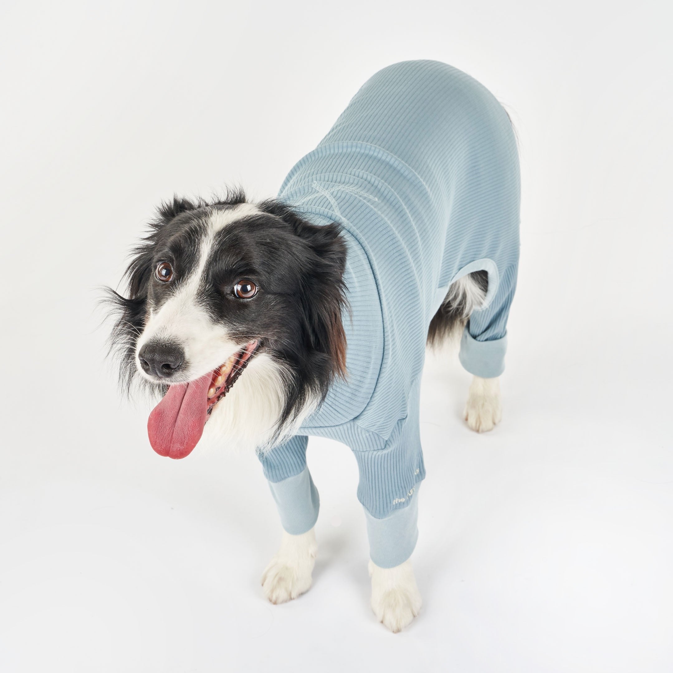 HIGH-NECK BLUE ONESIE