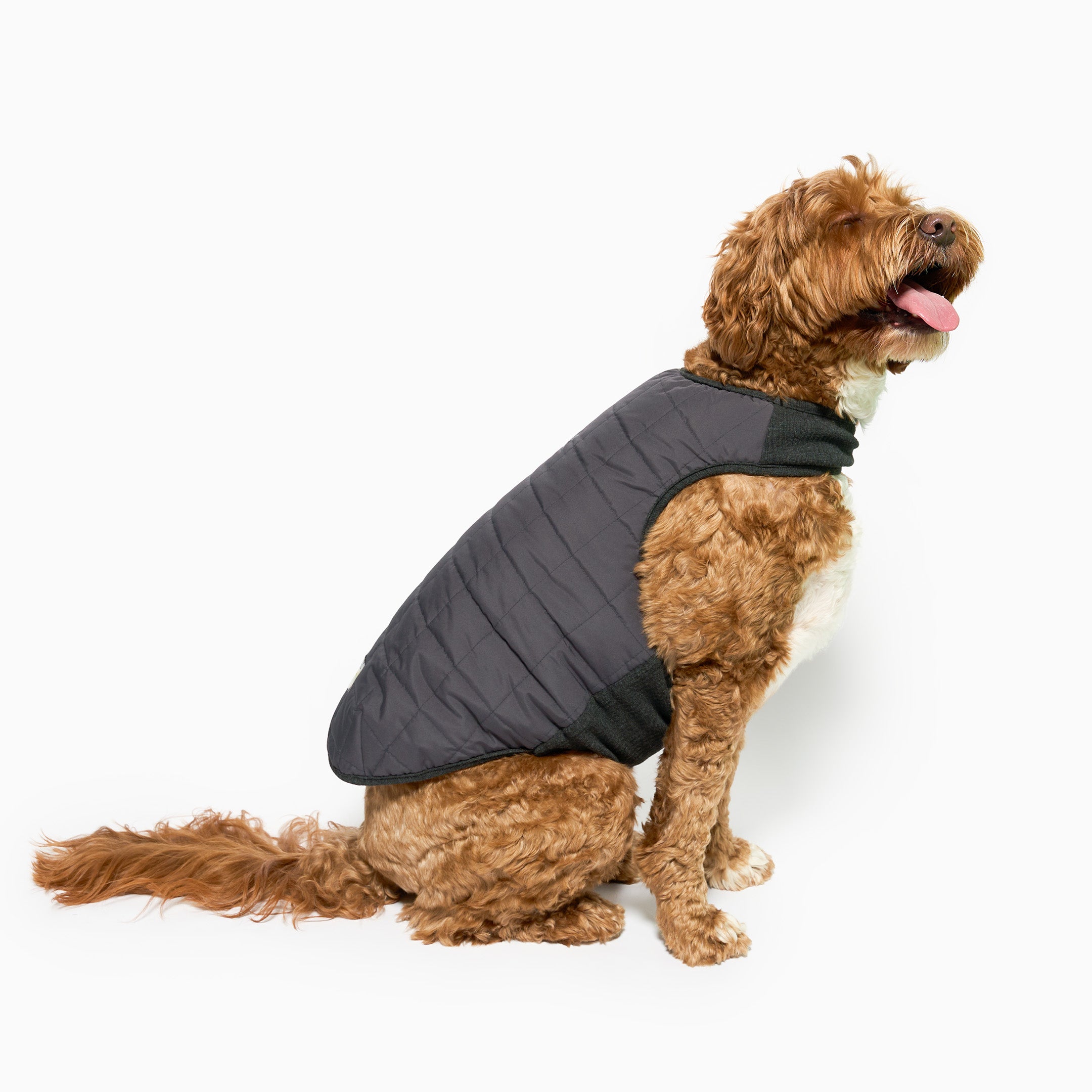 Reversible Puffer Vest Black