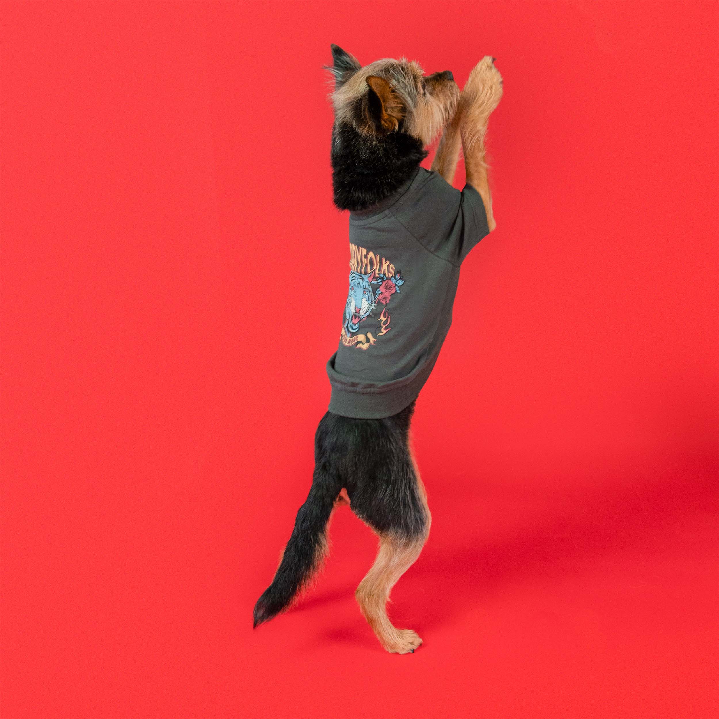 Loose Fit Graphic Tee