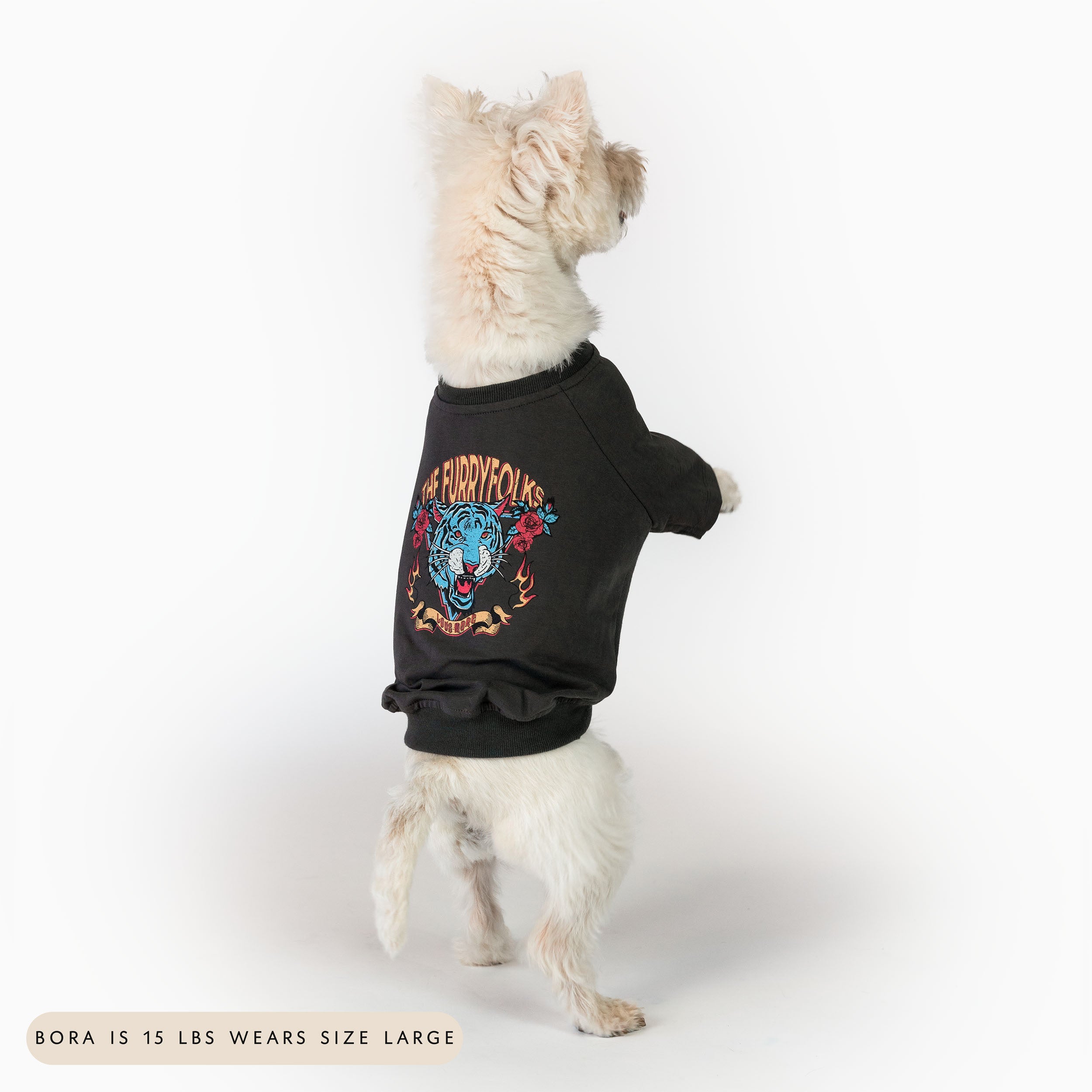 Loose Fit Graphic Tee
