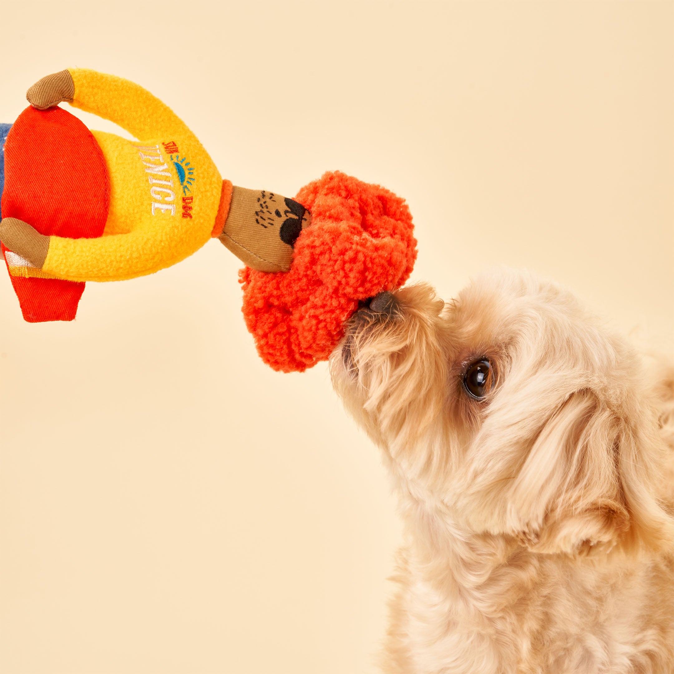 SURFER HOOMAN NOSEWORK TOY