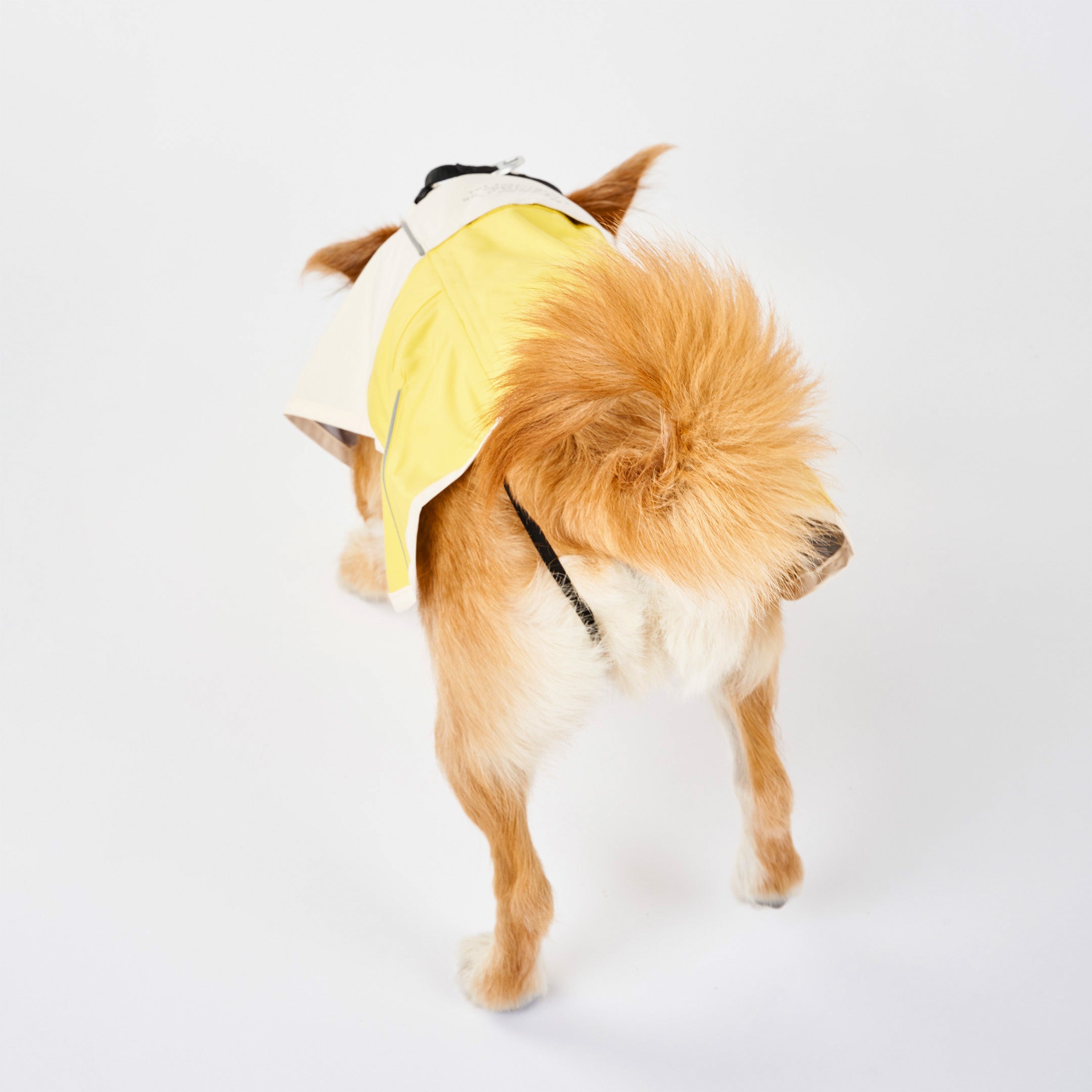 Venture Rain Jacket_Cream/Yellow