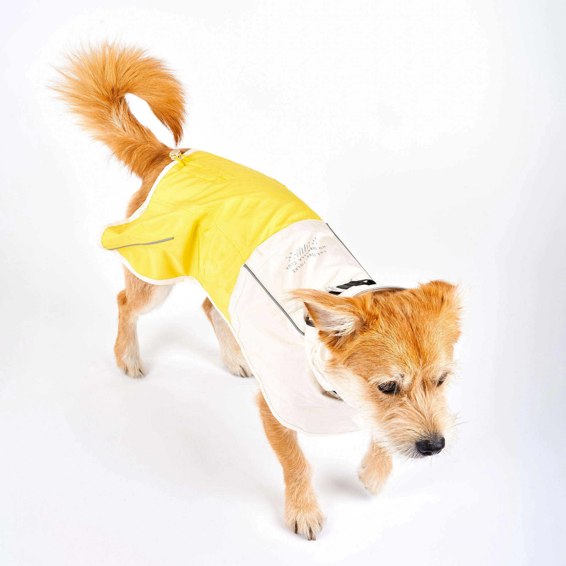 Venture Rain Jacket_Cream/Yellow