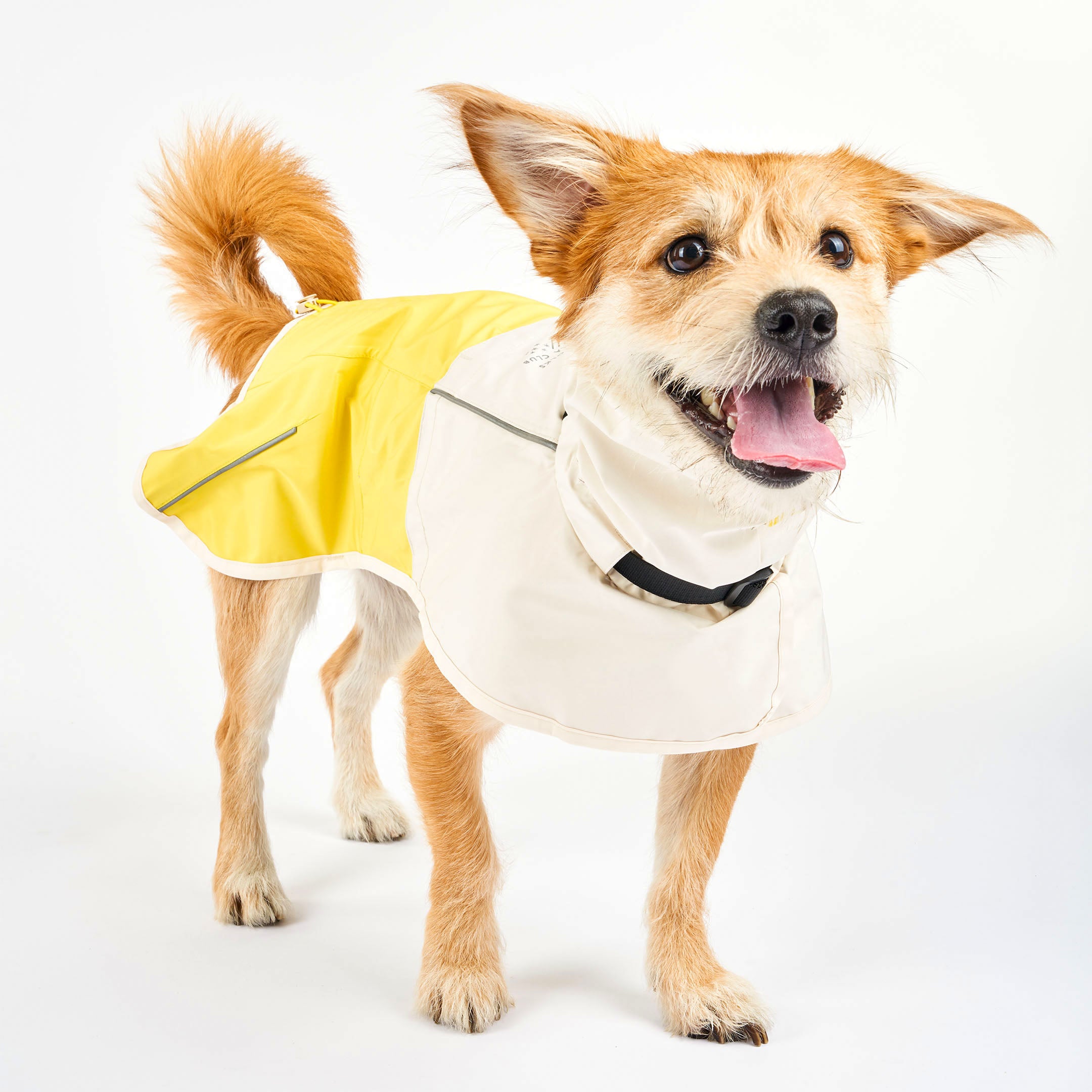 Venture Rain Jacket_Cream/Yellow