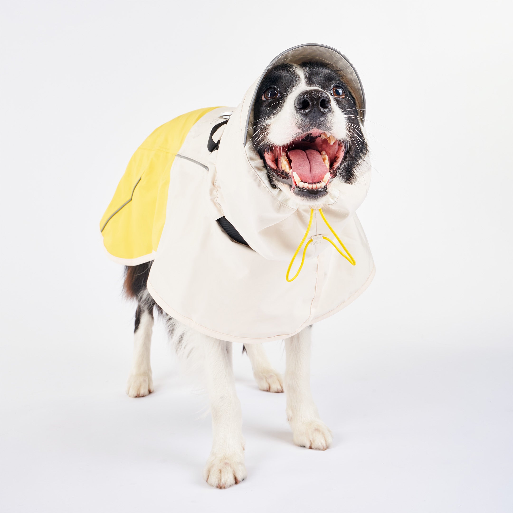 Venture Rain Jacket_Cream/Yellow