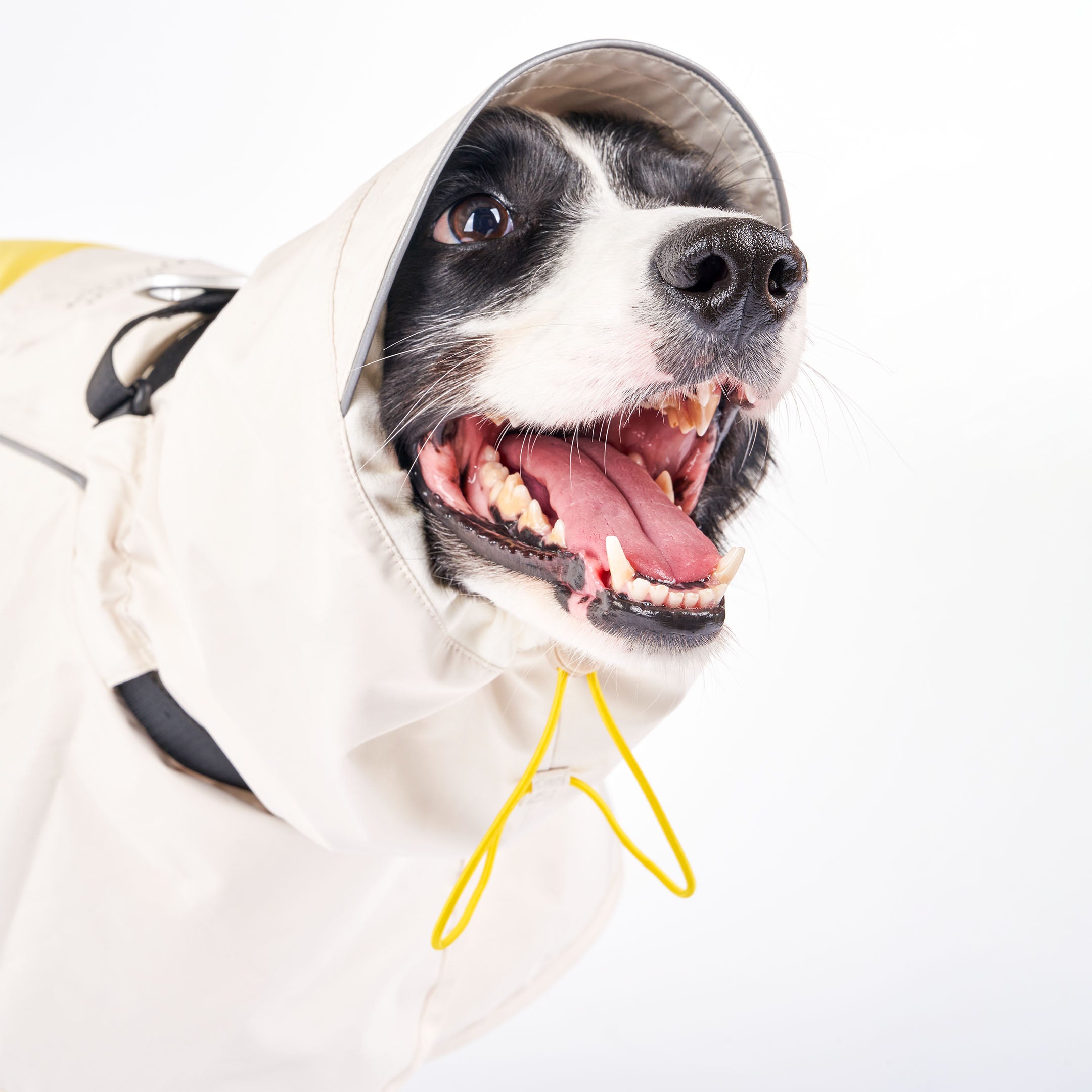 Venture Rain Jacket_Cream/Yellow