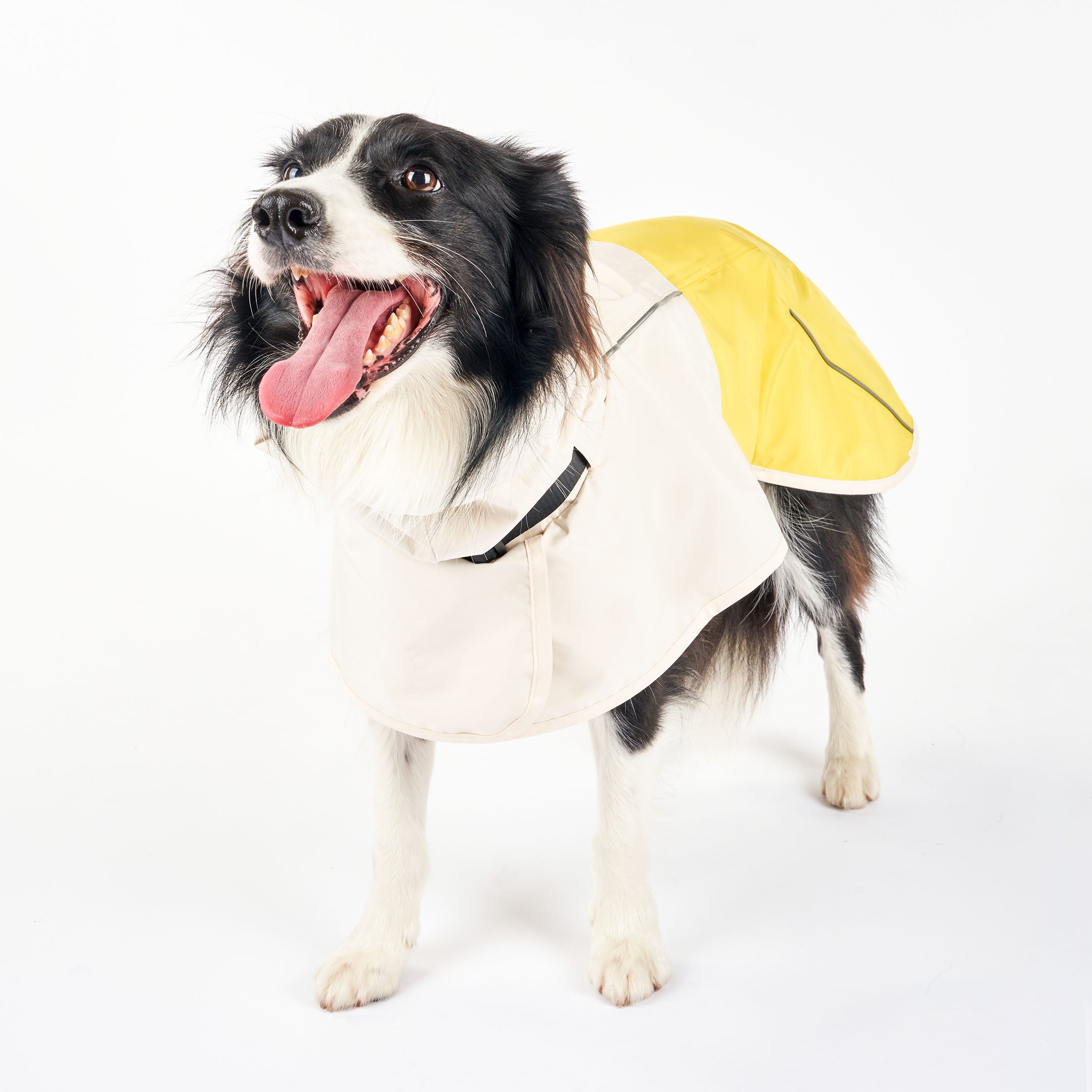 Venture Rain Jacket_Cream/Yellow