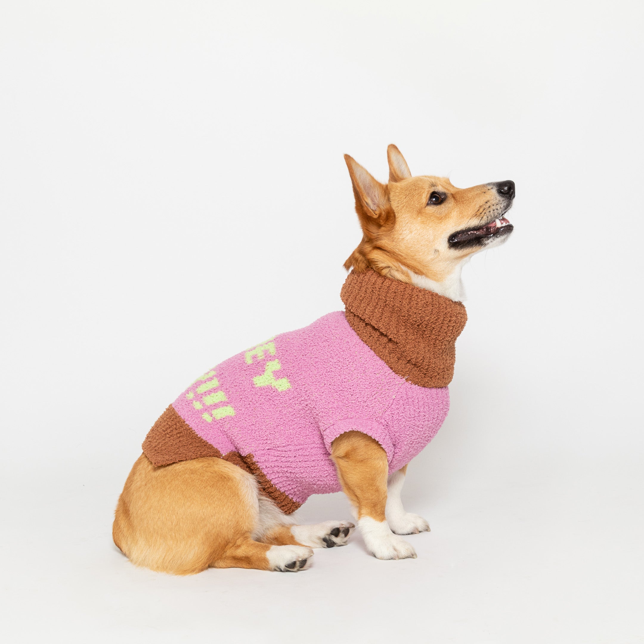 the furryfolks - HEY Sweater