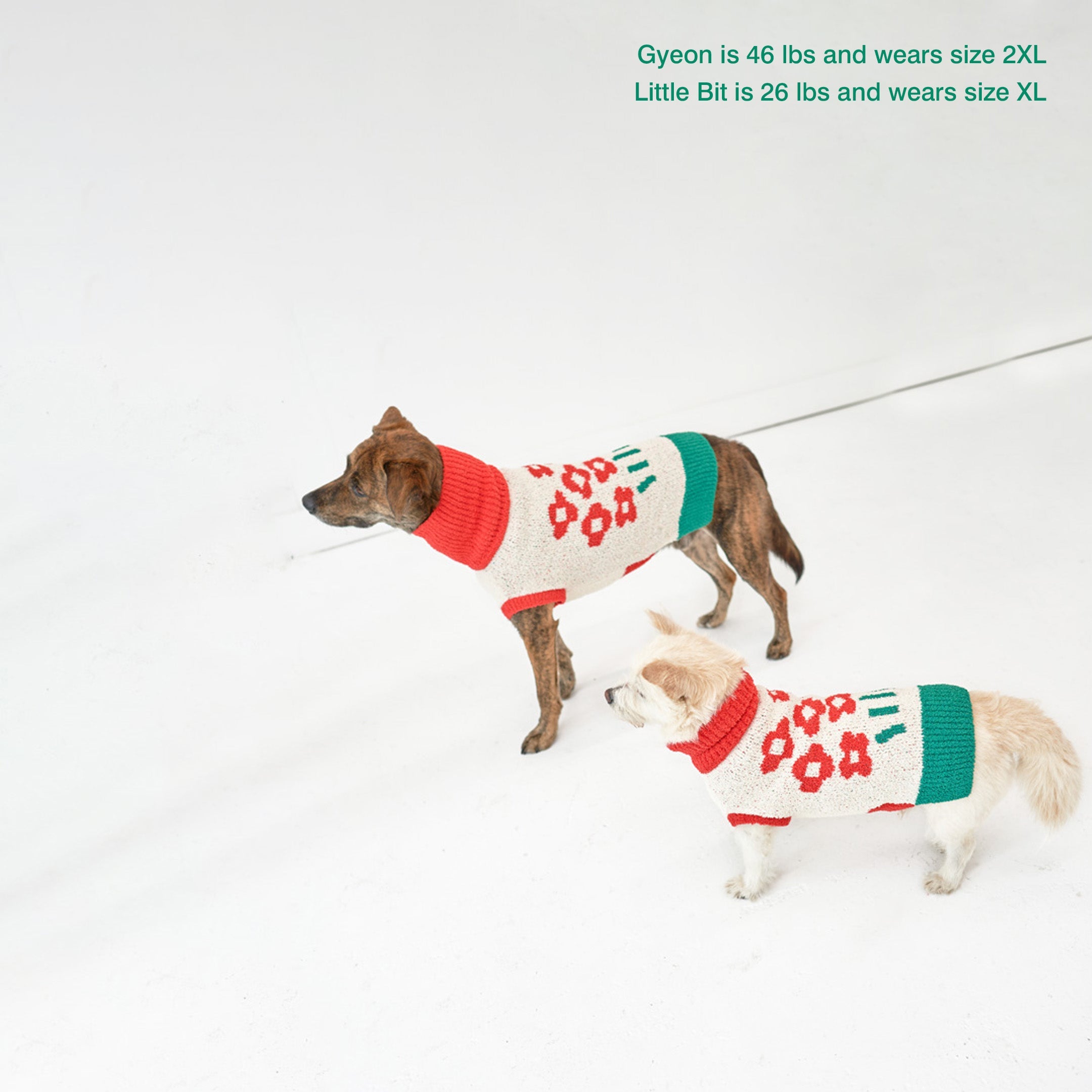 the furryfolks - FLOWER Sweater