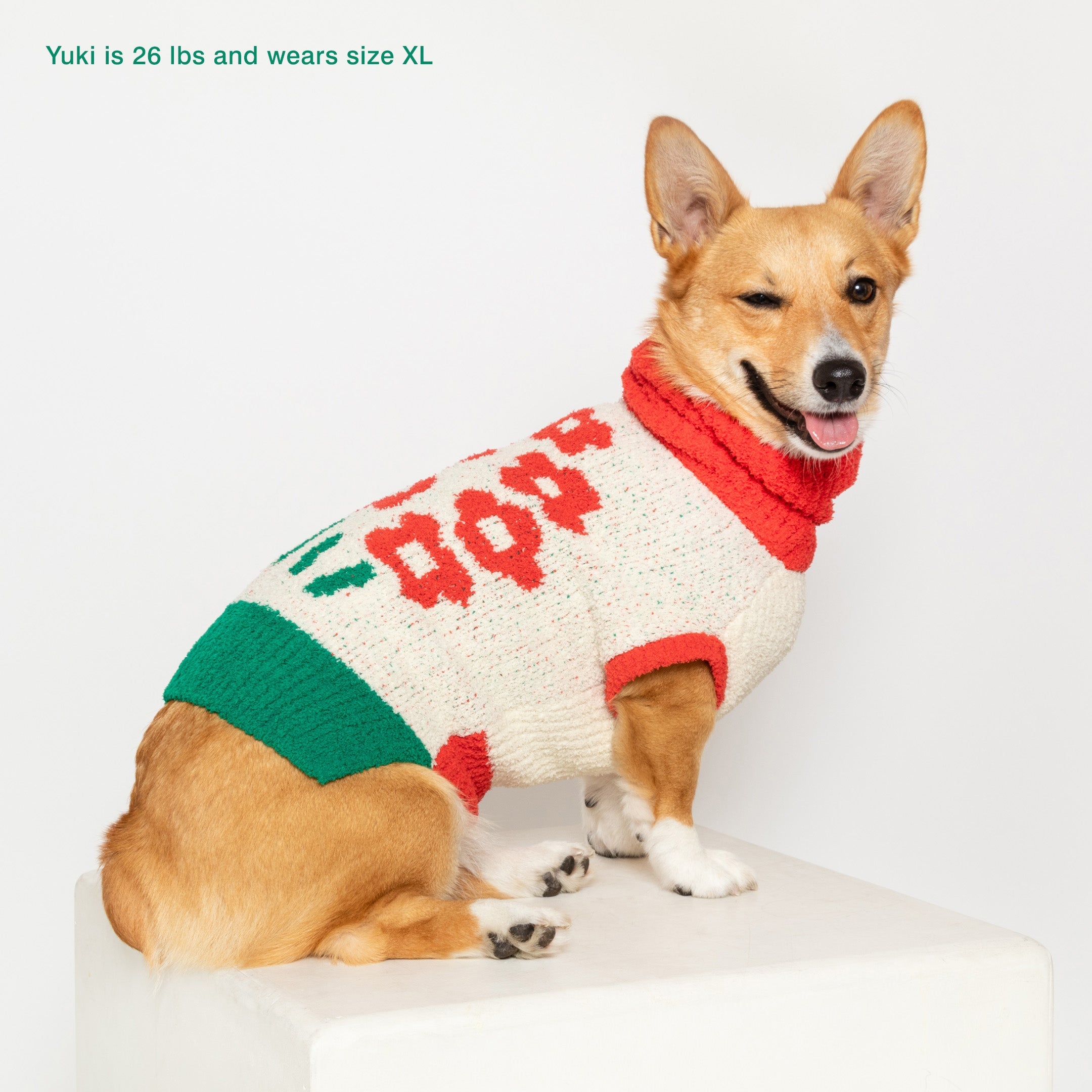 the furryfolks - FLOWER Sweater