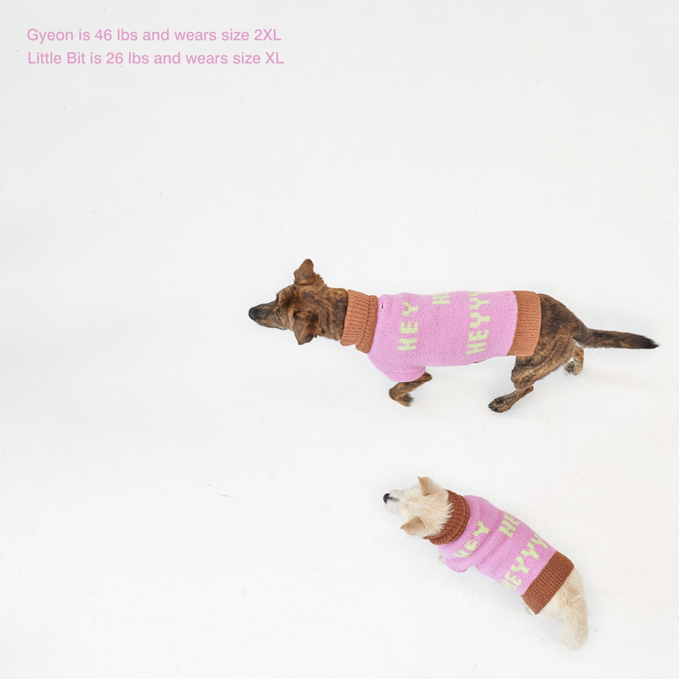 the furryfolks - HEY Sweater
