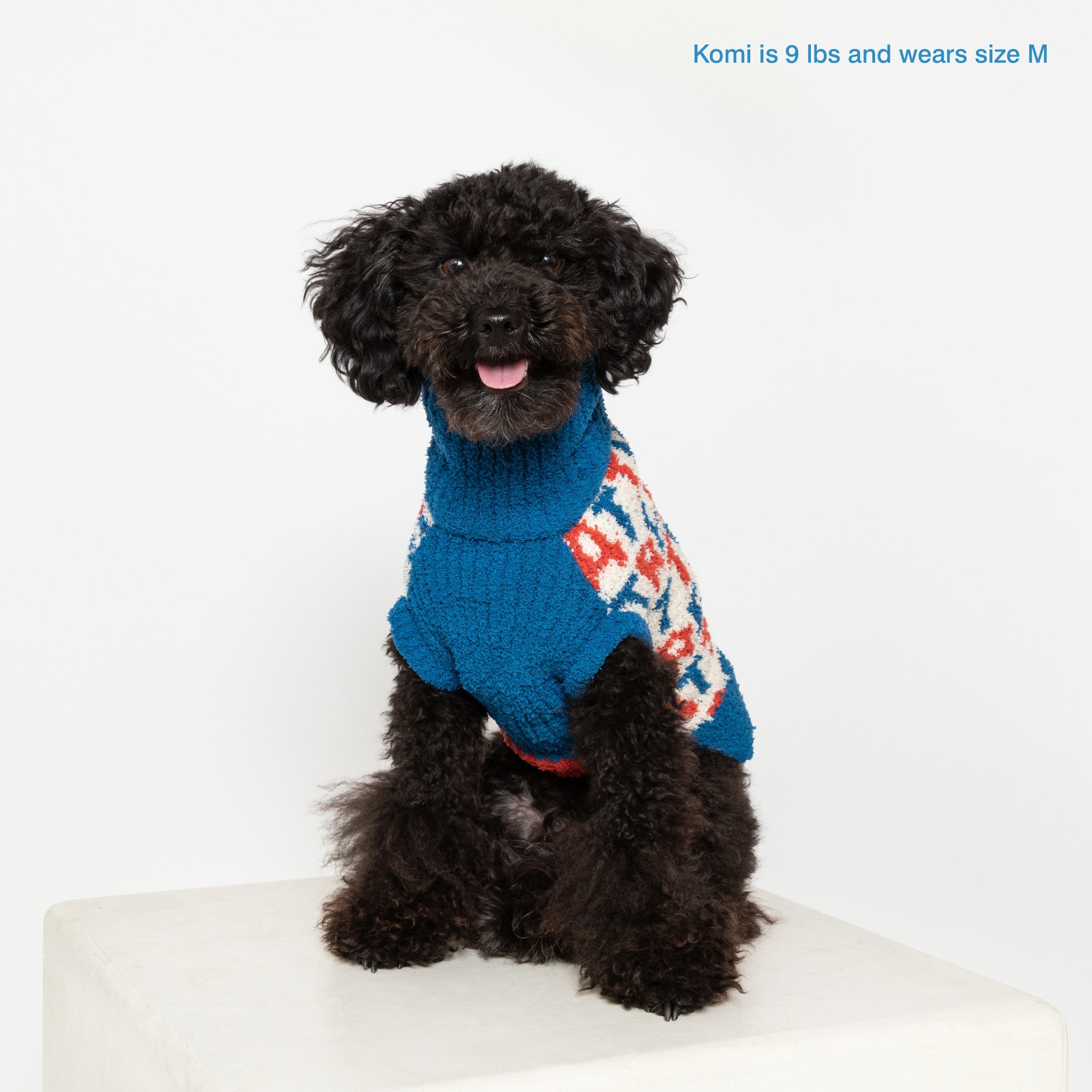 the furryfolks - TREAT Sweater