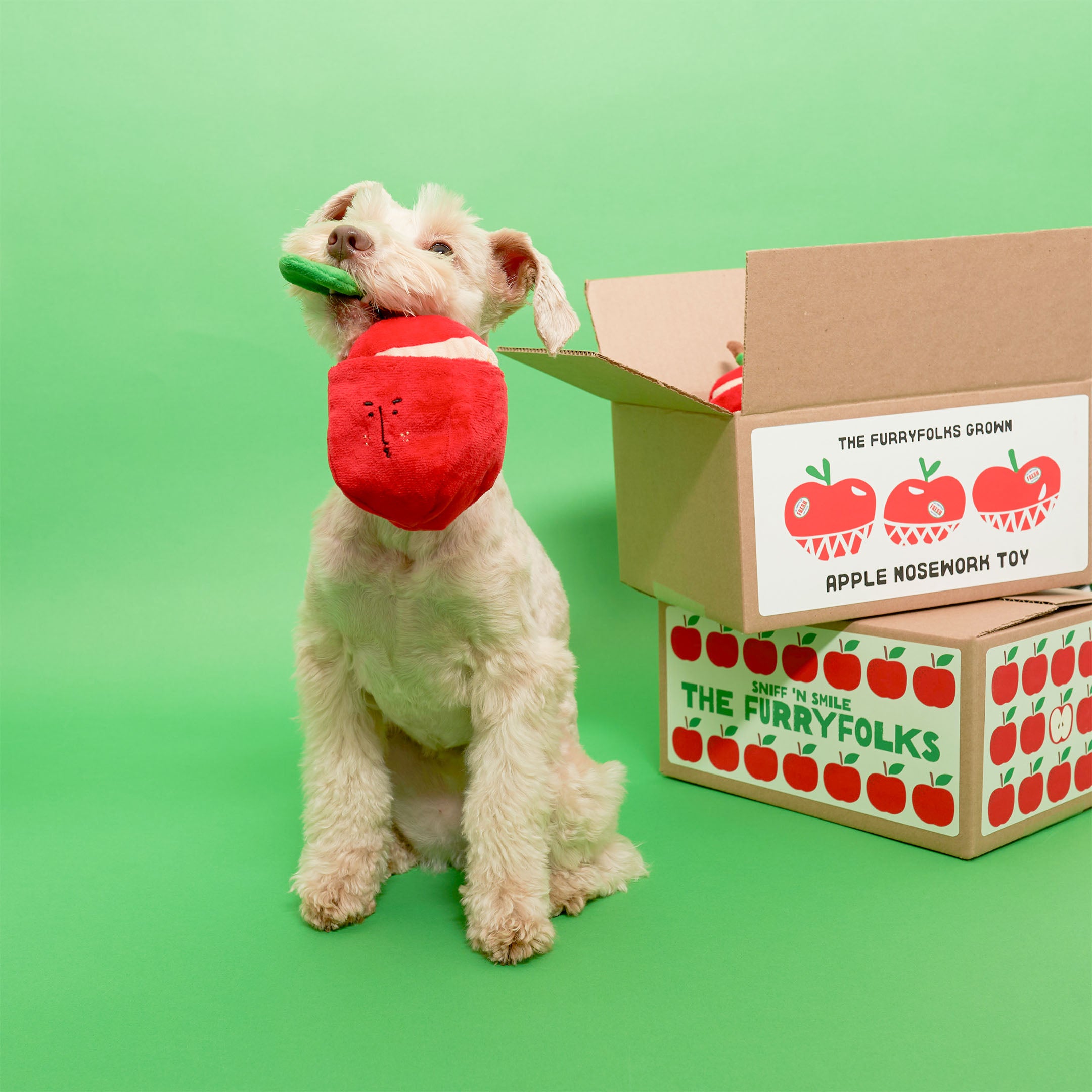 APPLE NOSEWORK TOY