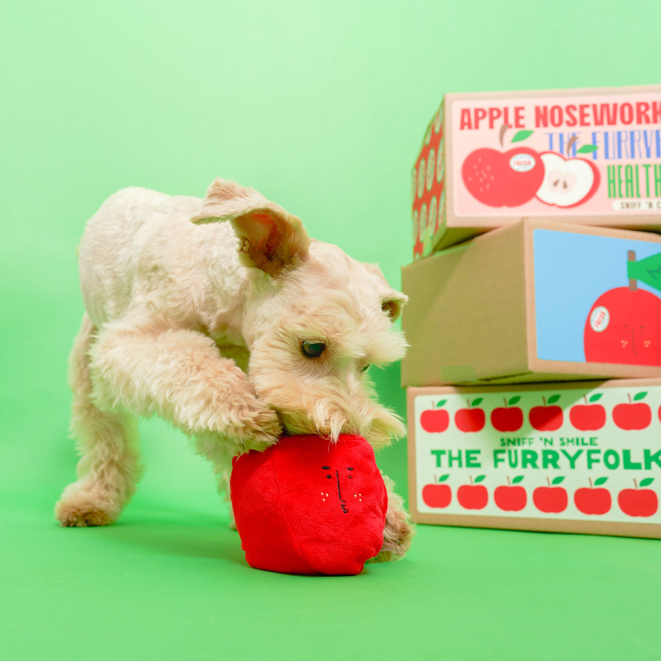 APPLE NOSEWORK TOY