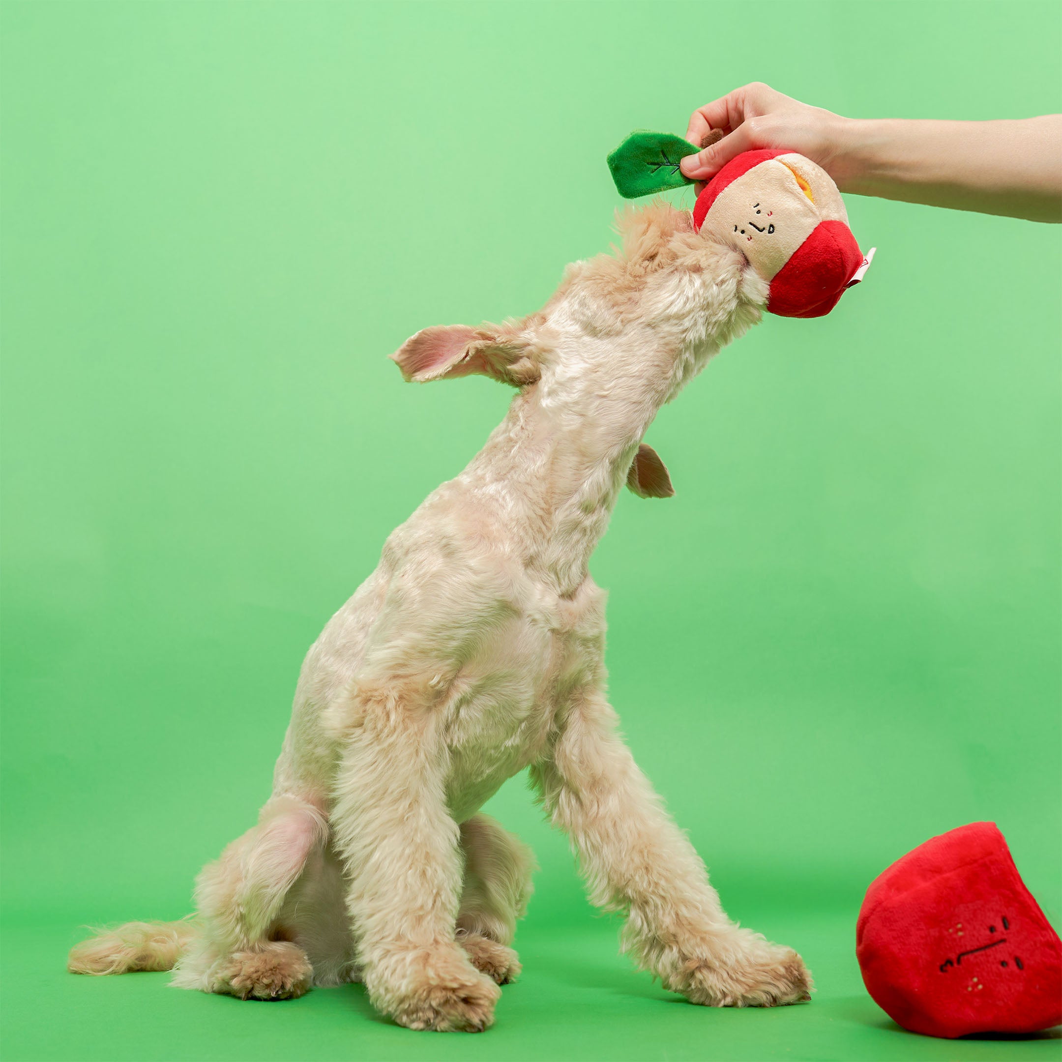 APPLE NOSEWORK TOY