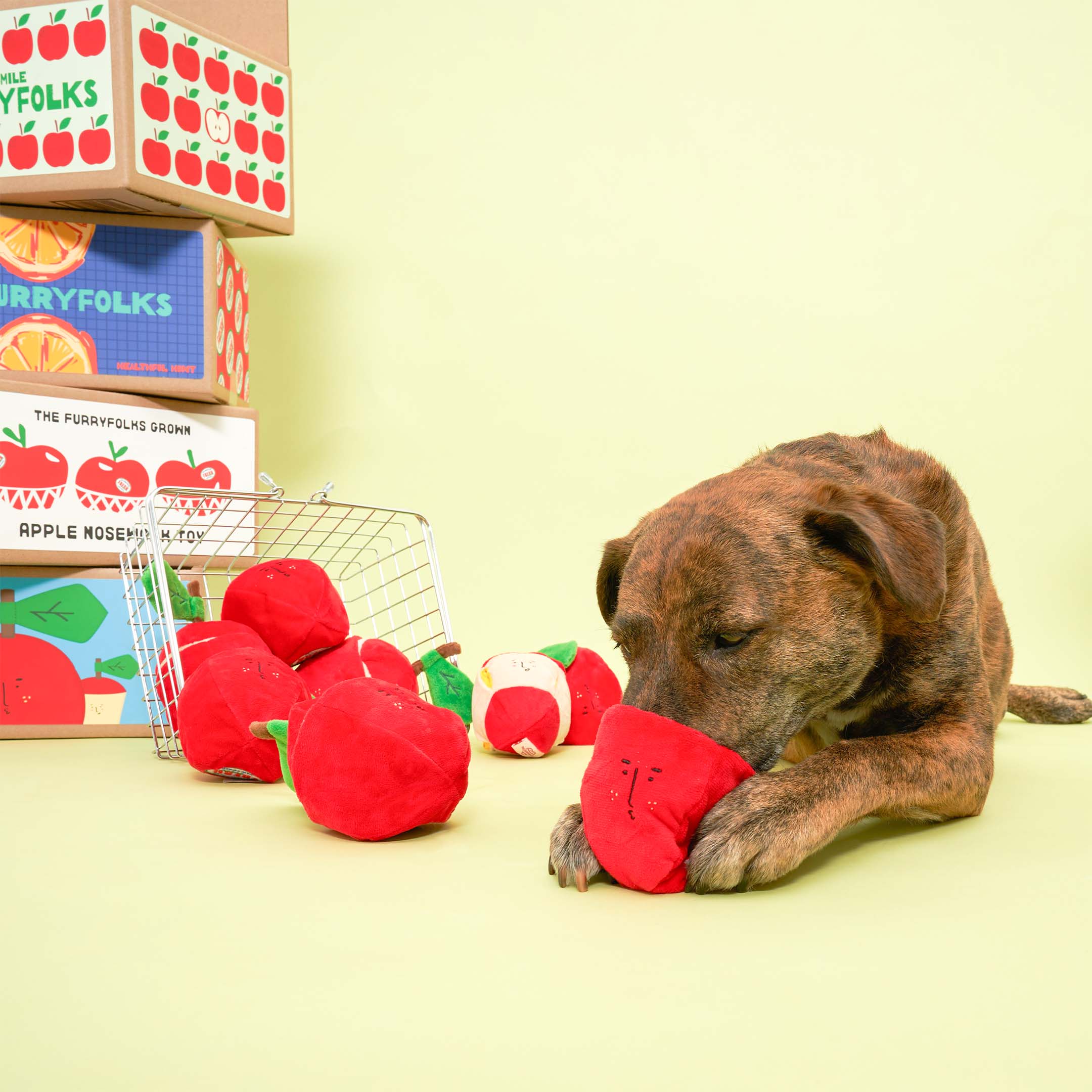 APPLE NOSEWORK TOY