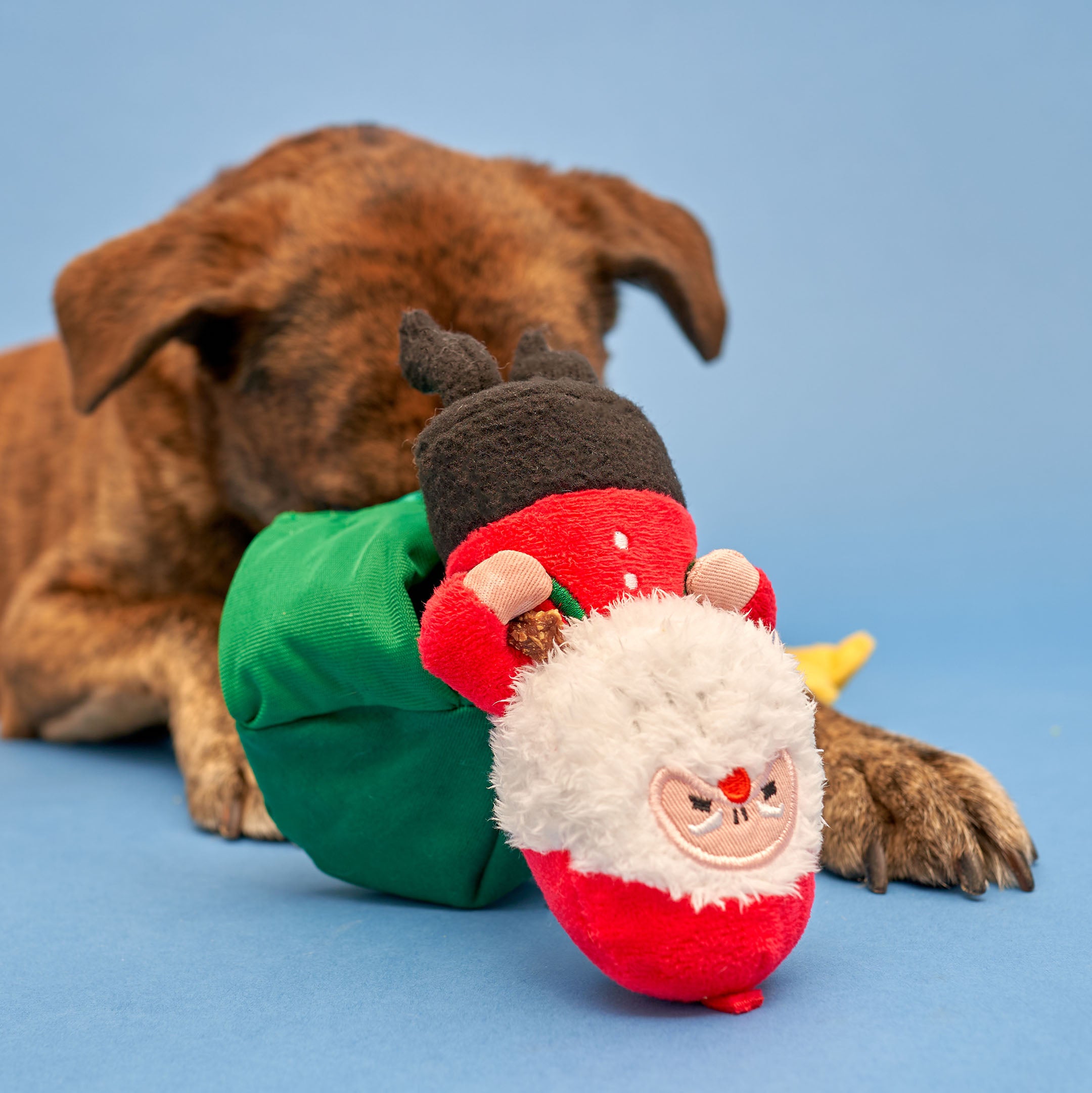 Santa Paws Nosework Toy