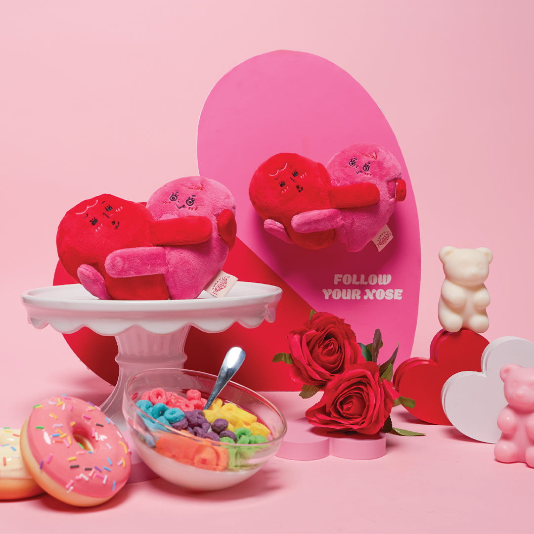 Love Locked Nosework Toy – thefurryfolks.co.kr