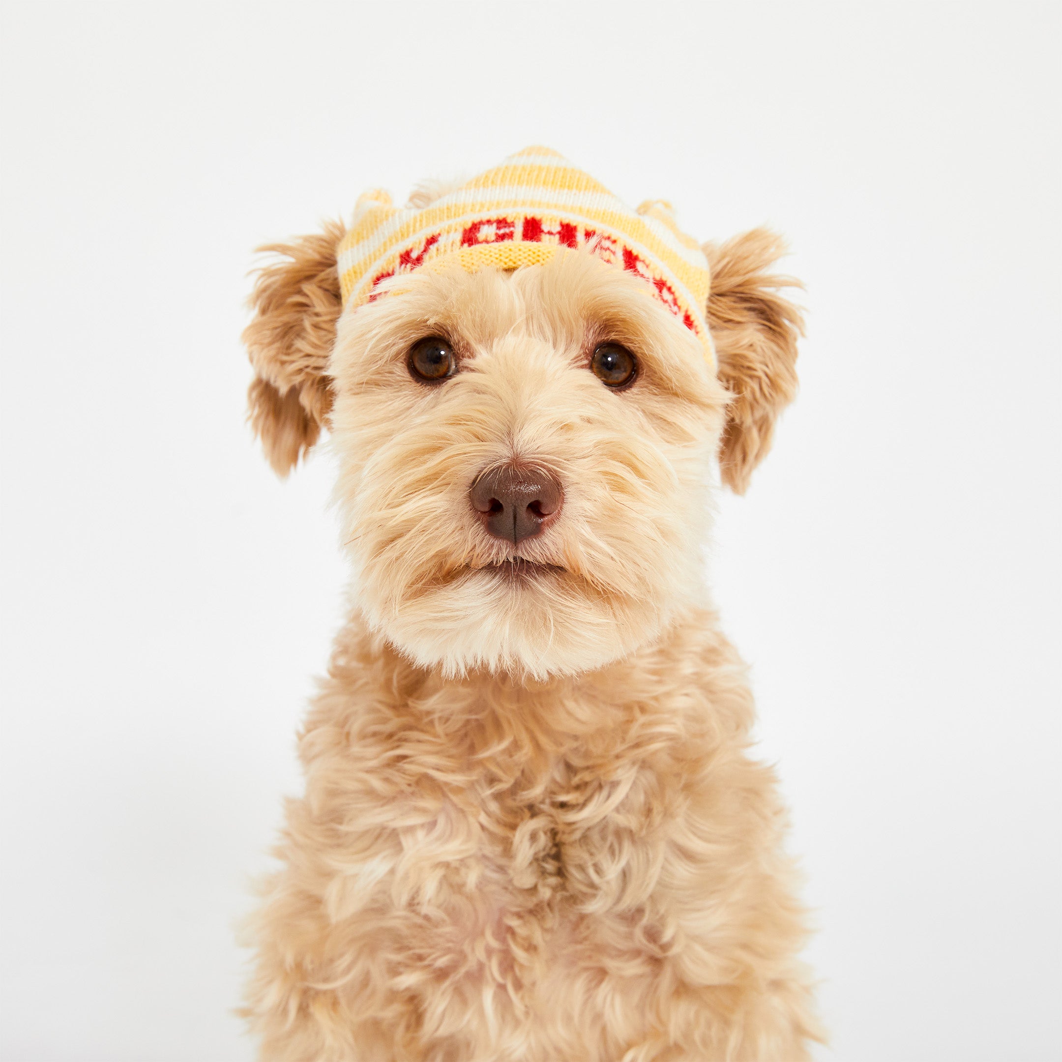Party Crown