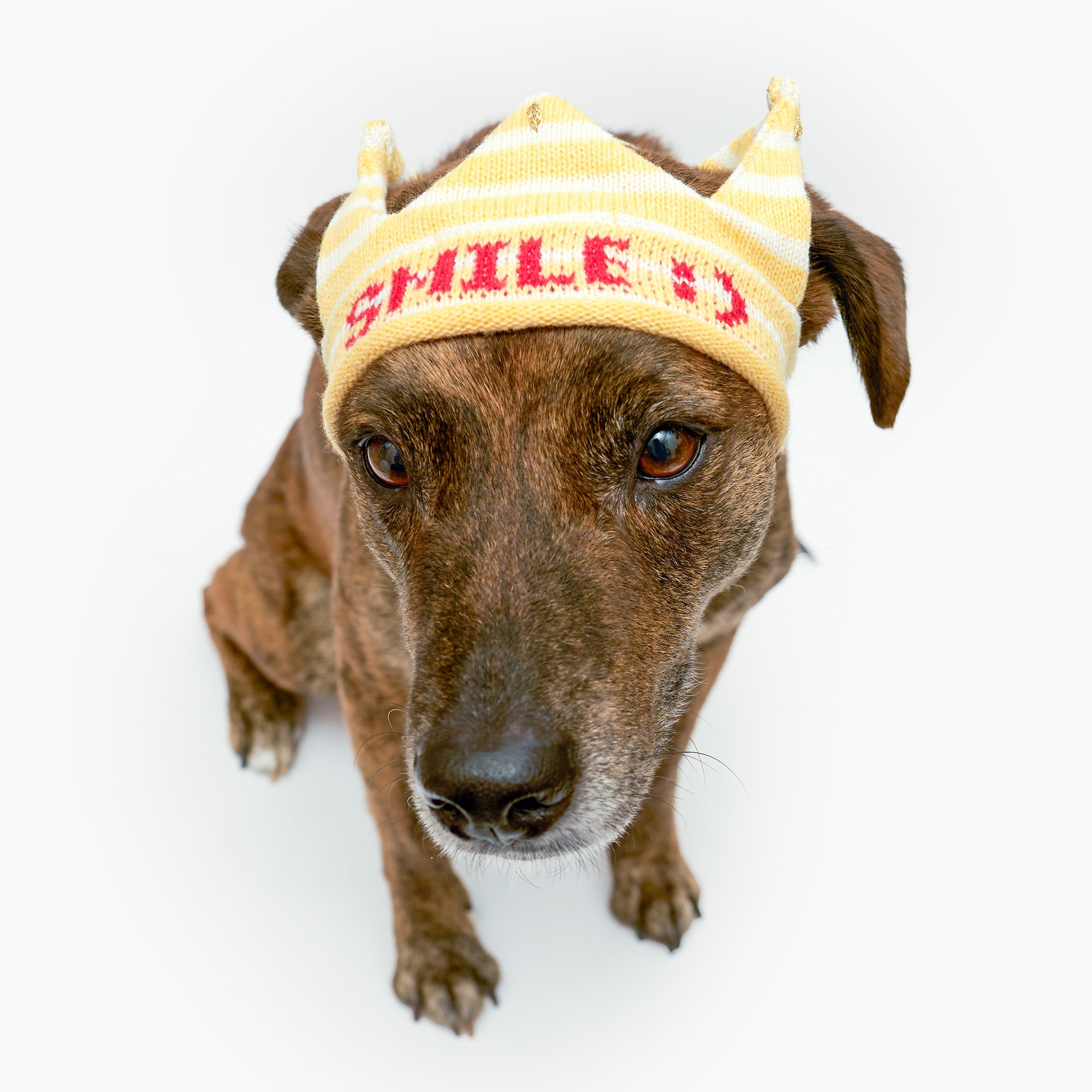 Party Crown