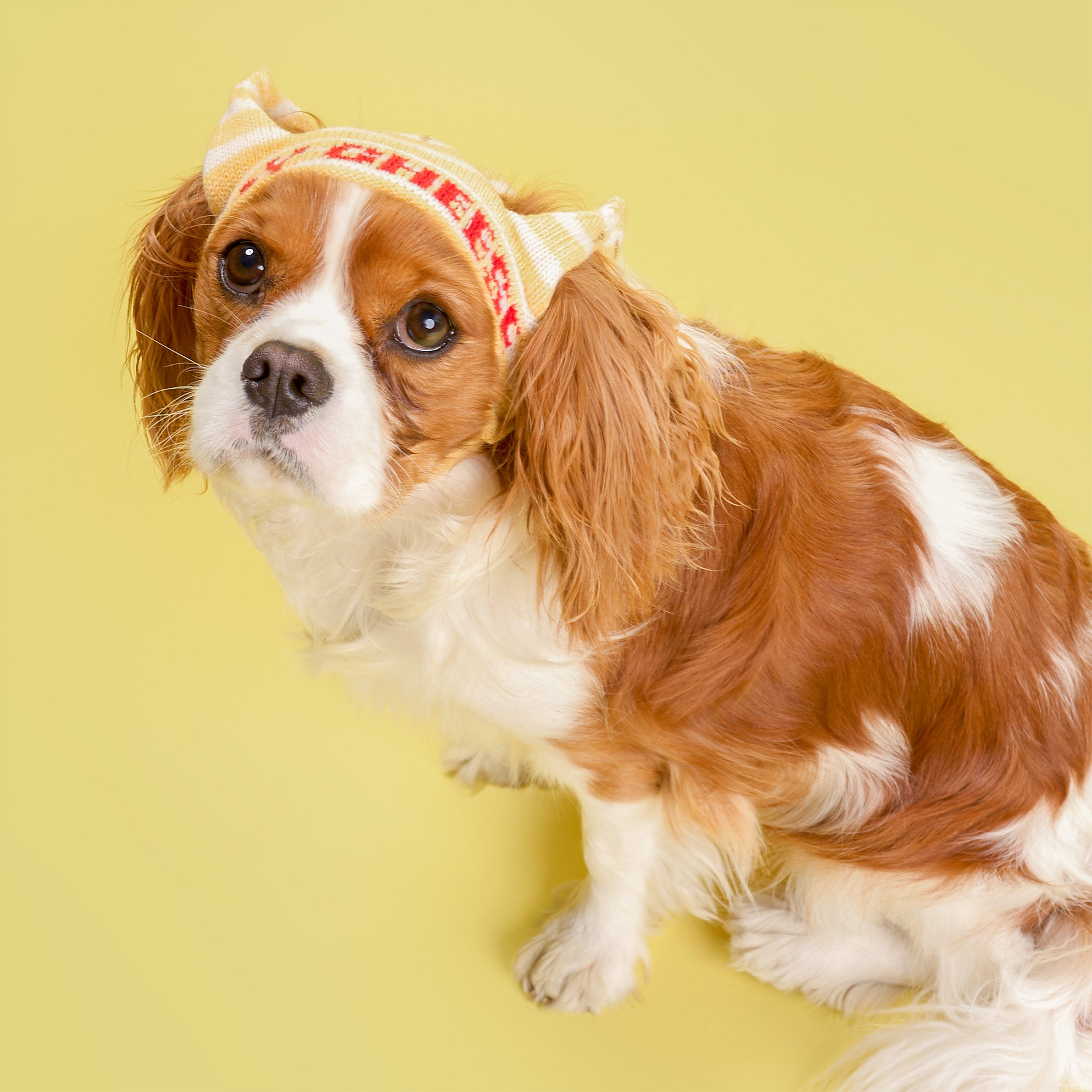 Party Crown