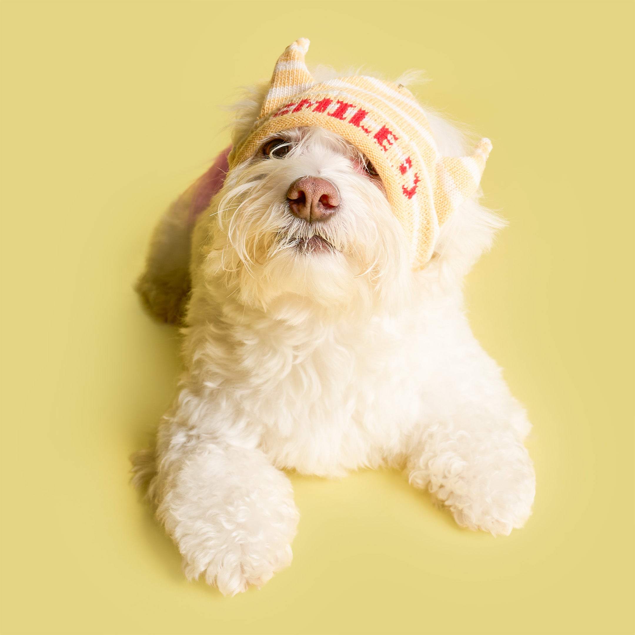 Party Crown