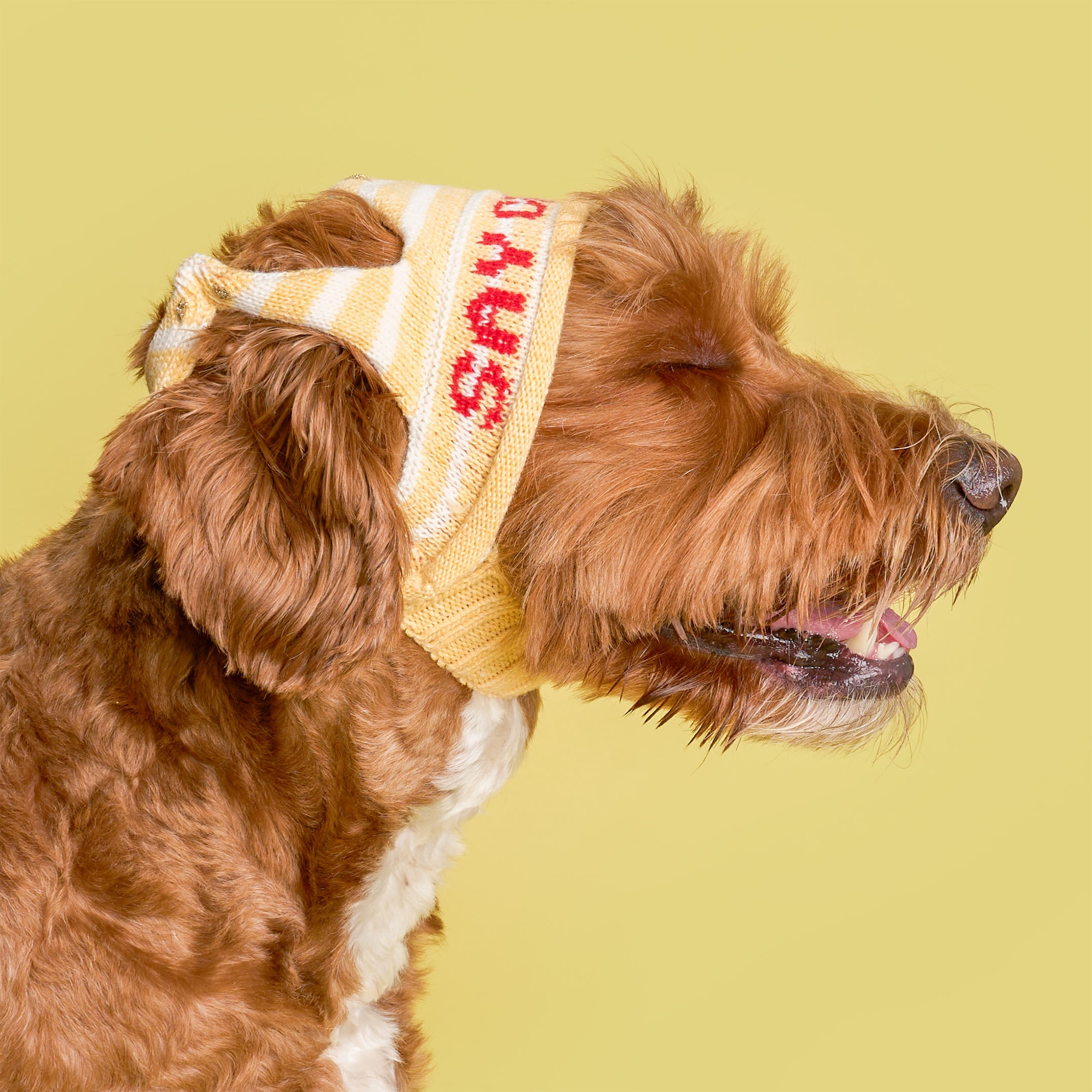 Party Crown