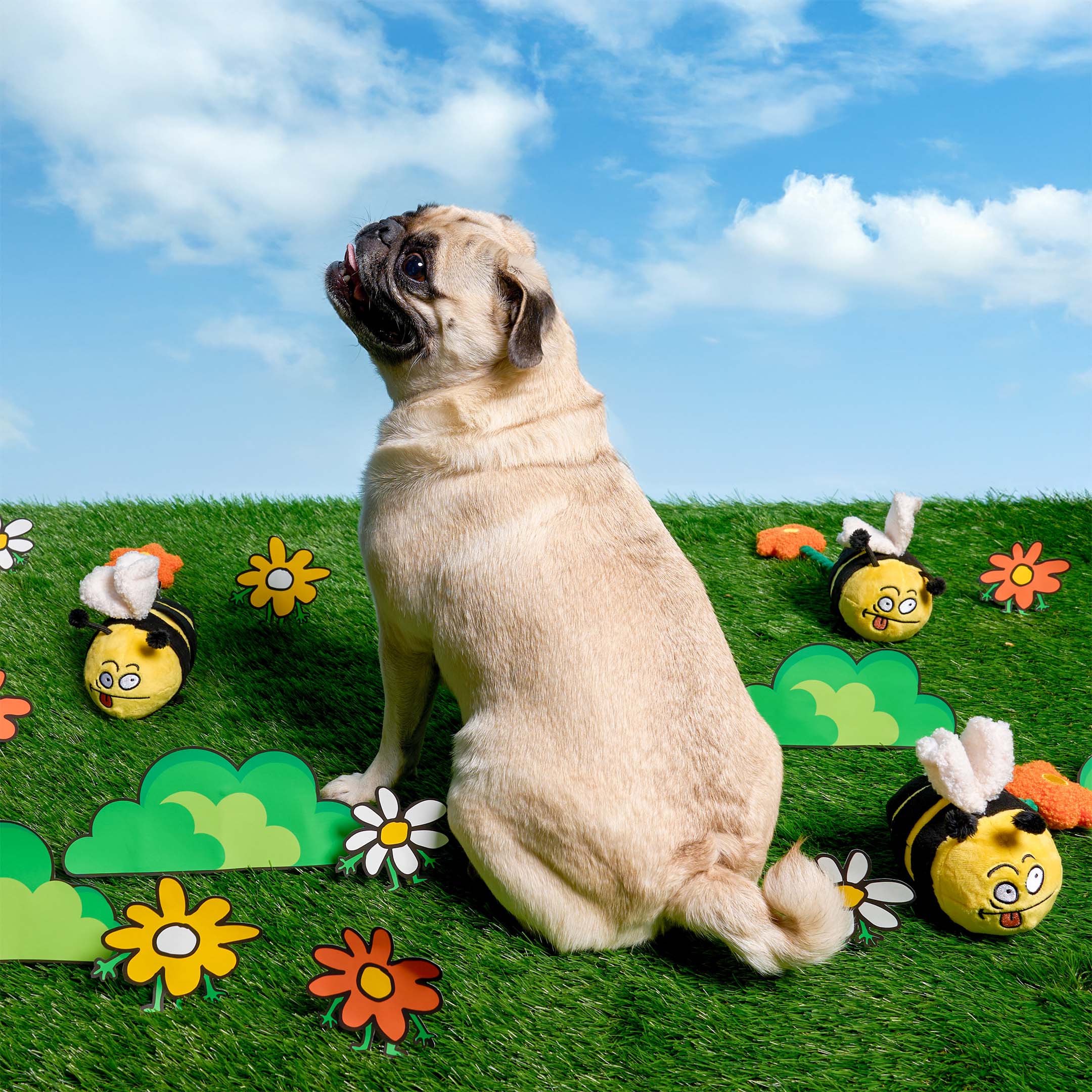 Bee Happy Nosework Toy