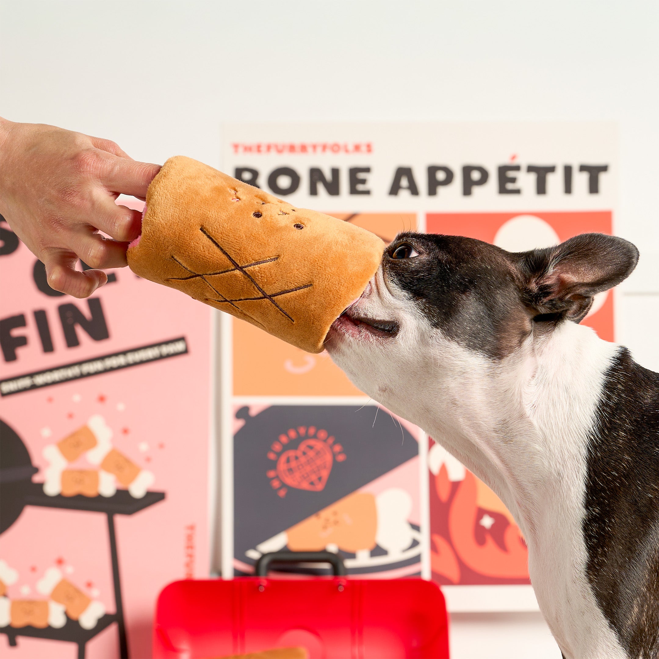 Bone Appétit Nosework Toy – thefurryfolks.co.kr