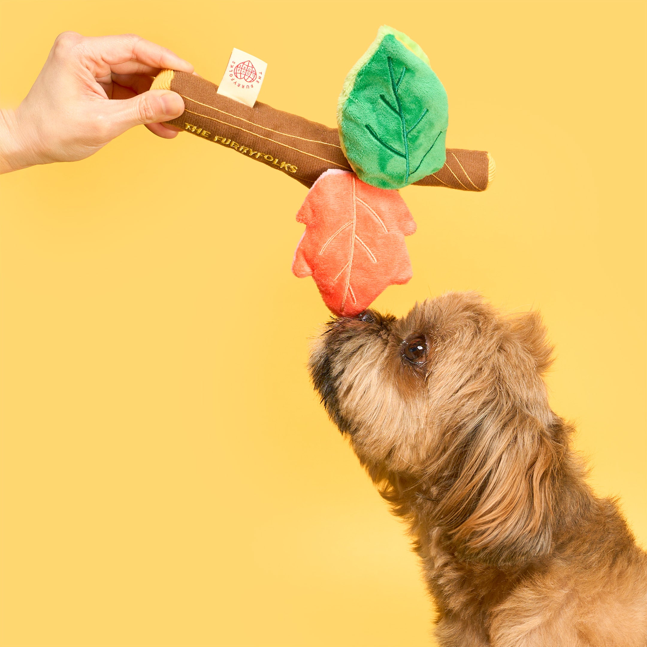 Branch Manager's Branch Nosework Toy