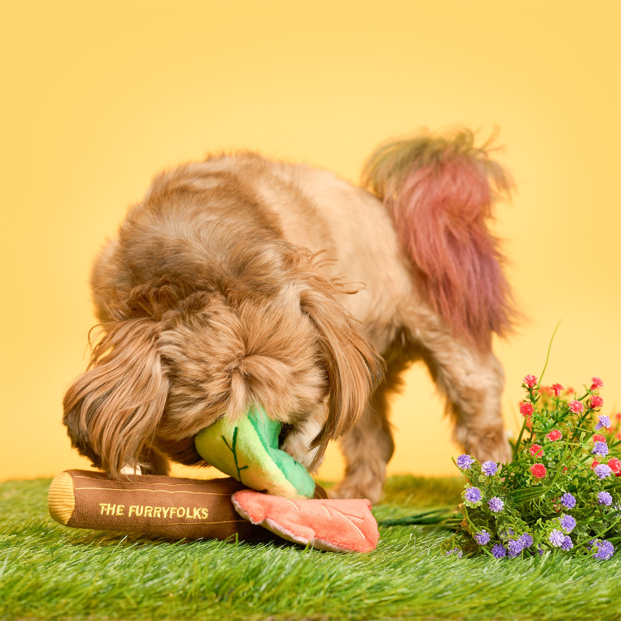 Branch Manager's Branch Nosework Toy