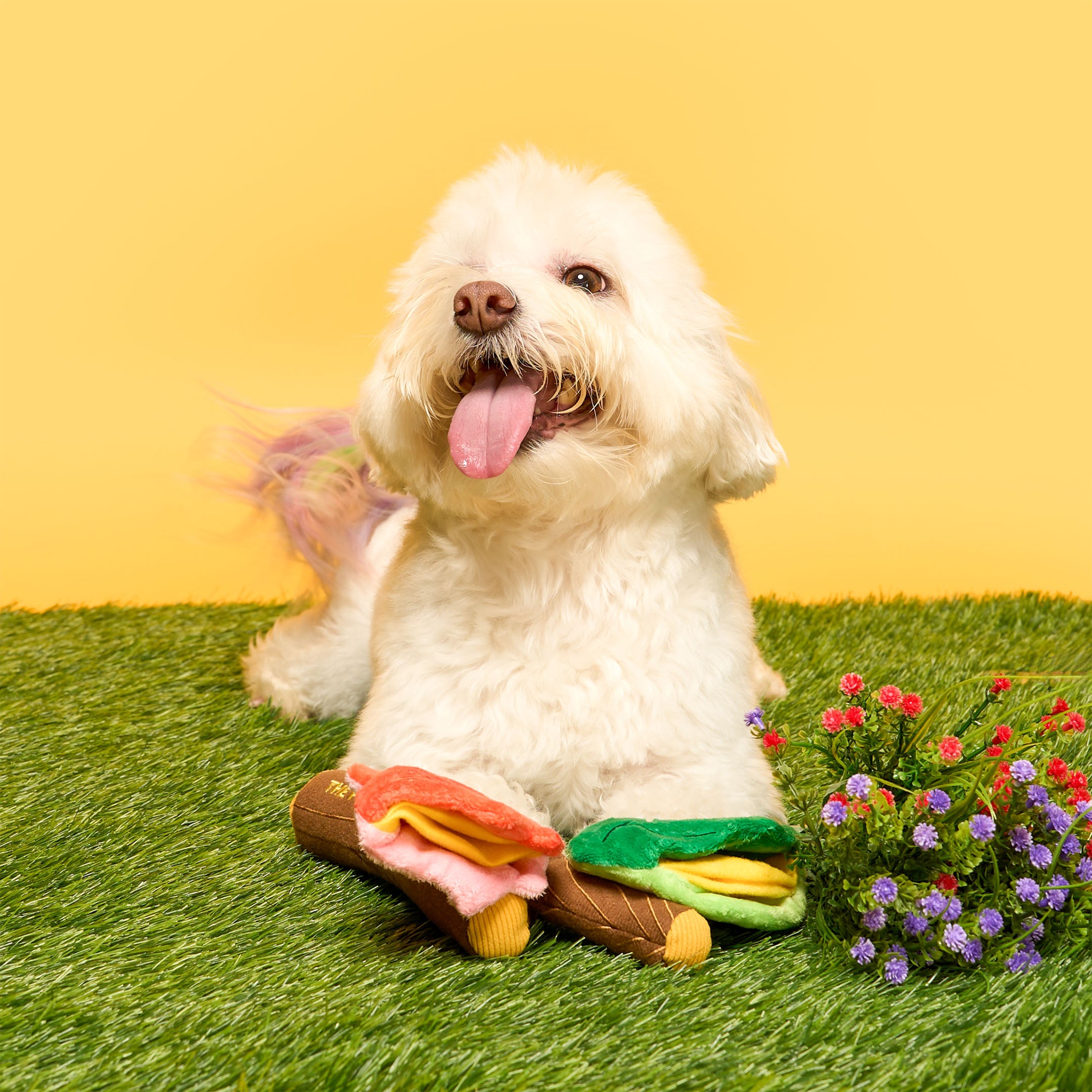 Branch Manager's Branch Nosework Toy
