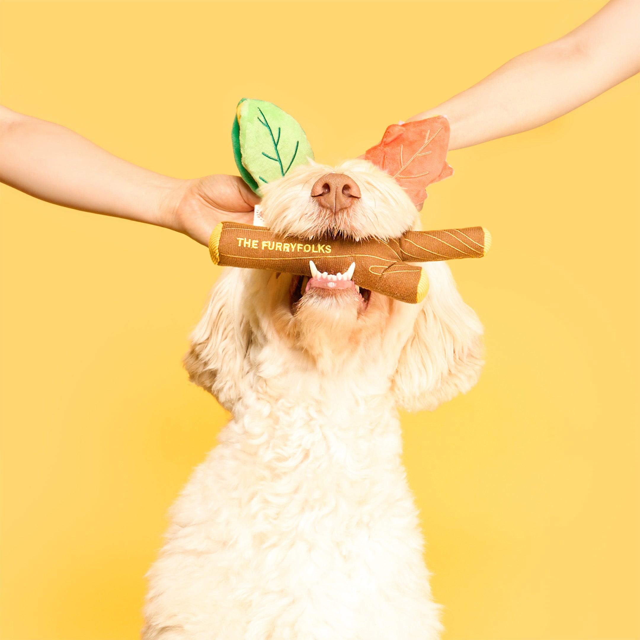 Branch Manager's Branch Nosework Toy