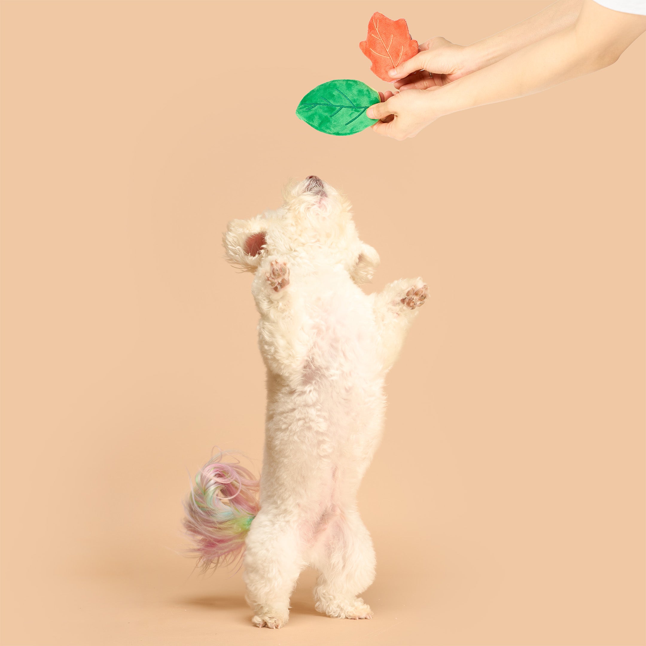 Branch Manager's Branch Nosework Toy