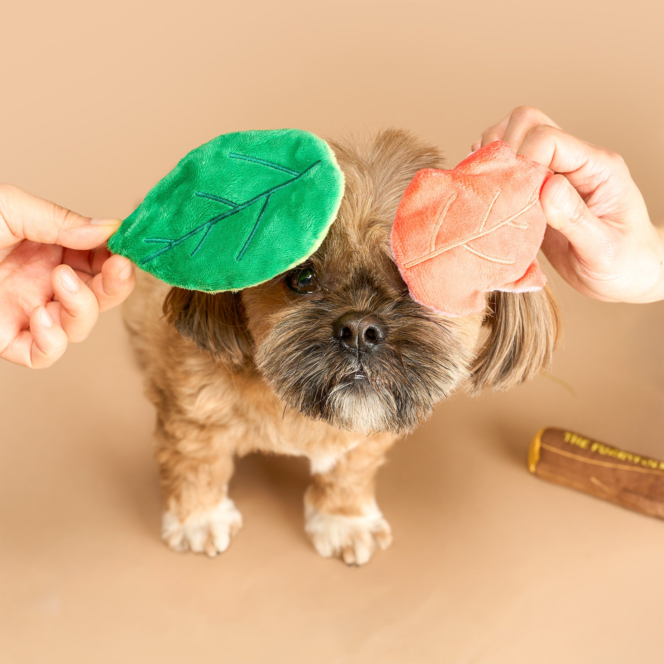 Branch Manager's Branch Nosework Toy