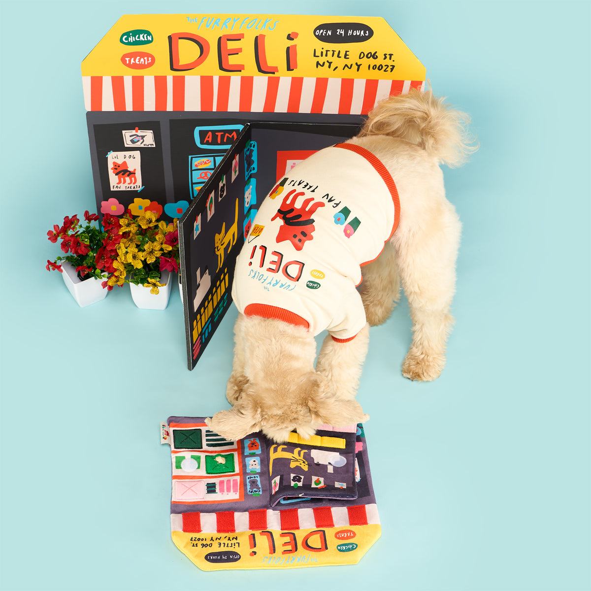 Deli Nosework Dog Mat