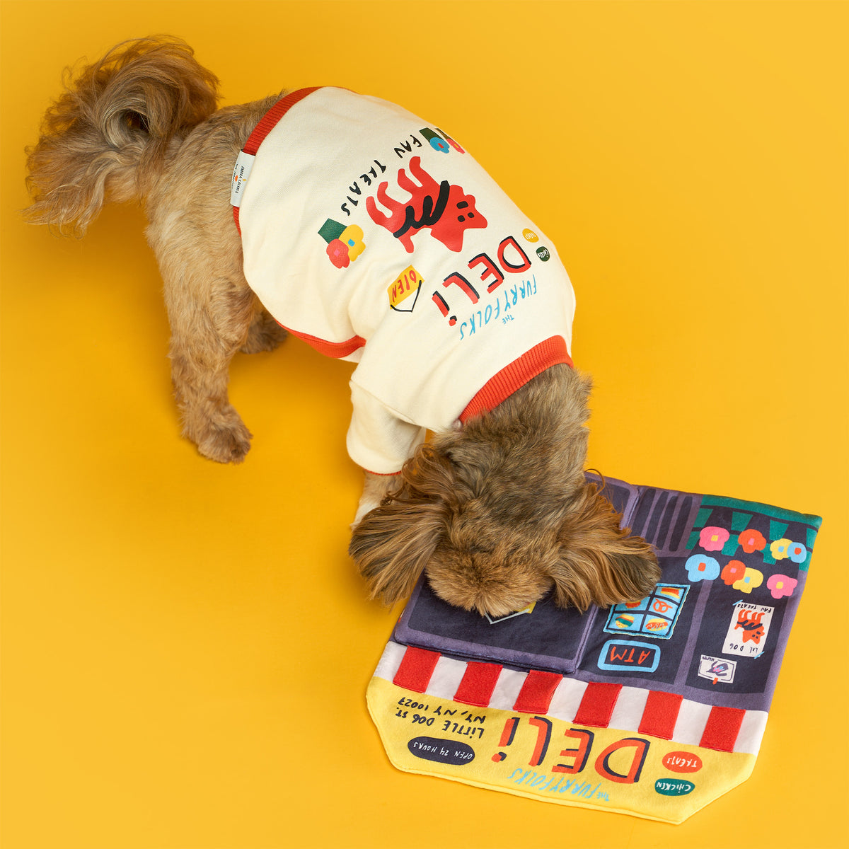Deli Nosework Dog Mat