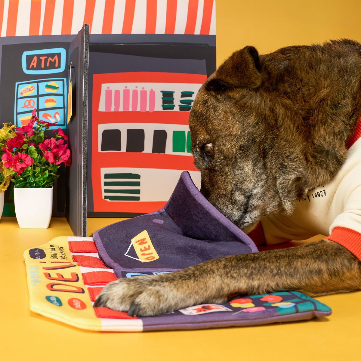 Deli Nosework Dog Mat