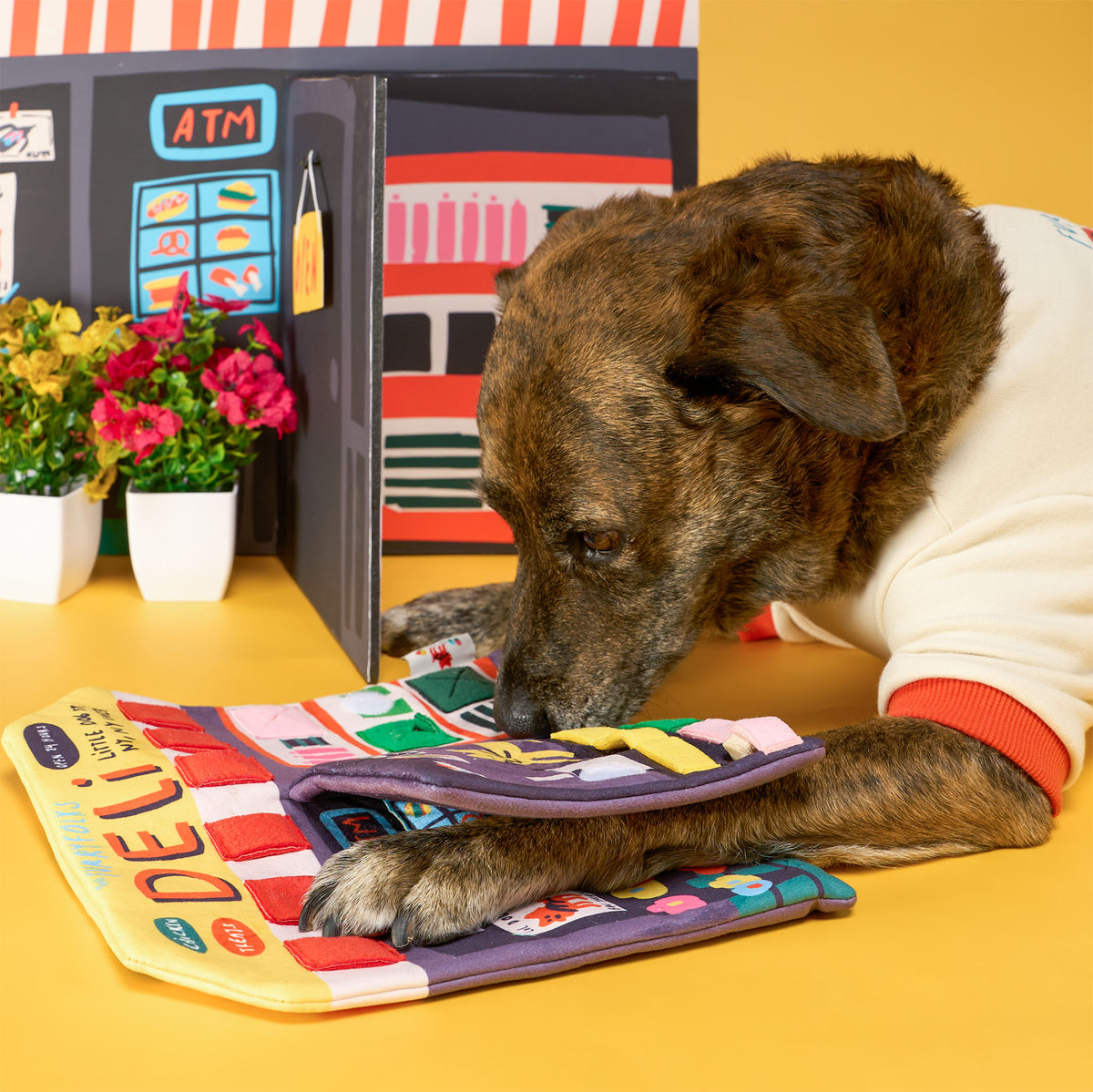 Deli Nosework Dog Mat