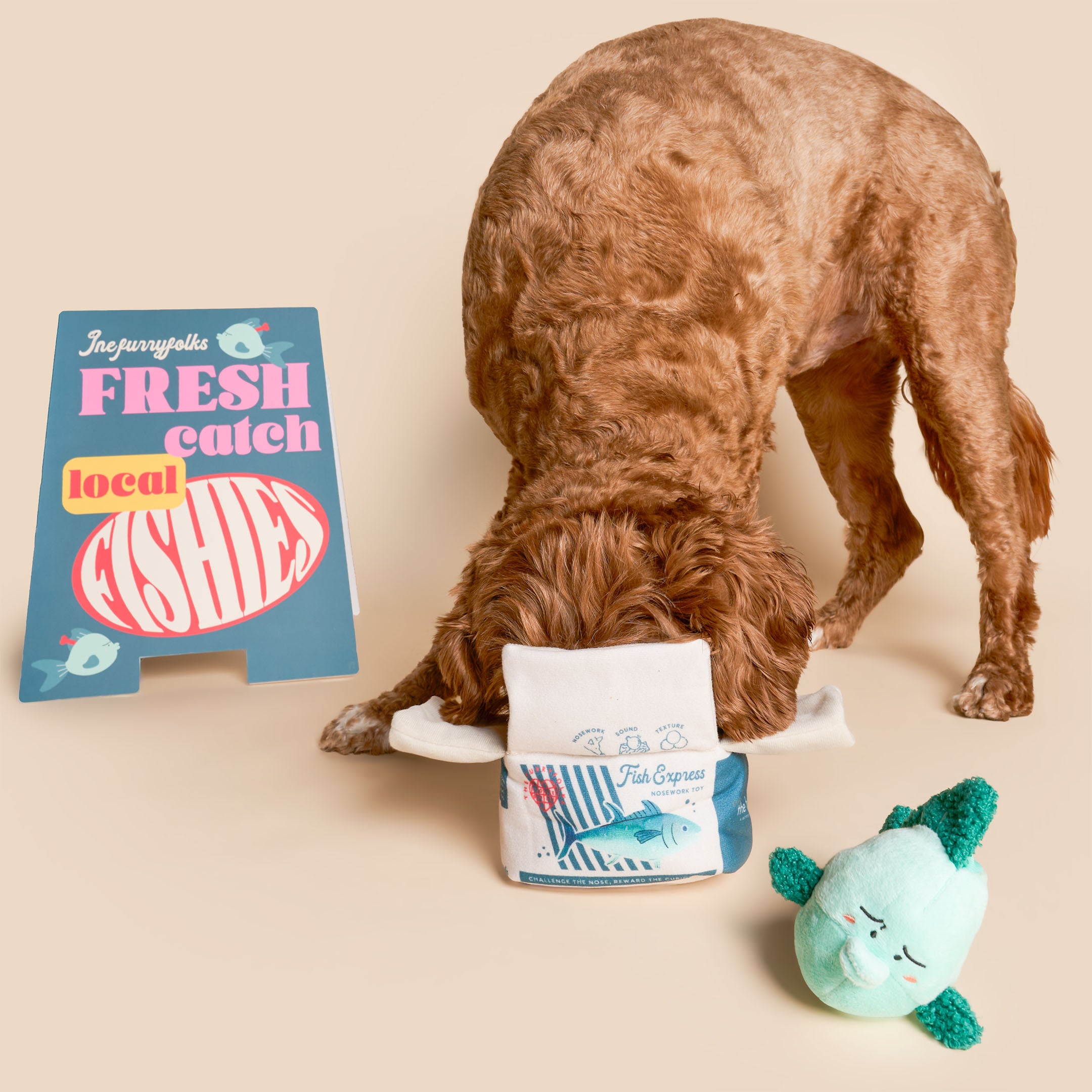 Fish Express Nosework Toy