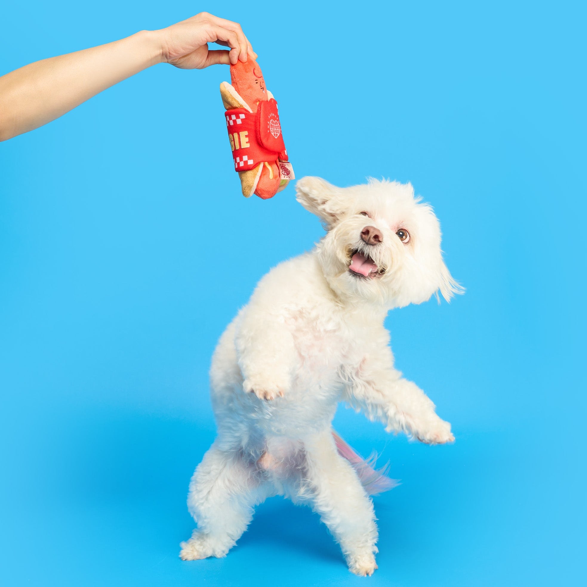 Hot Doggie Nosework Toy