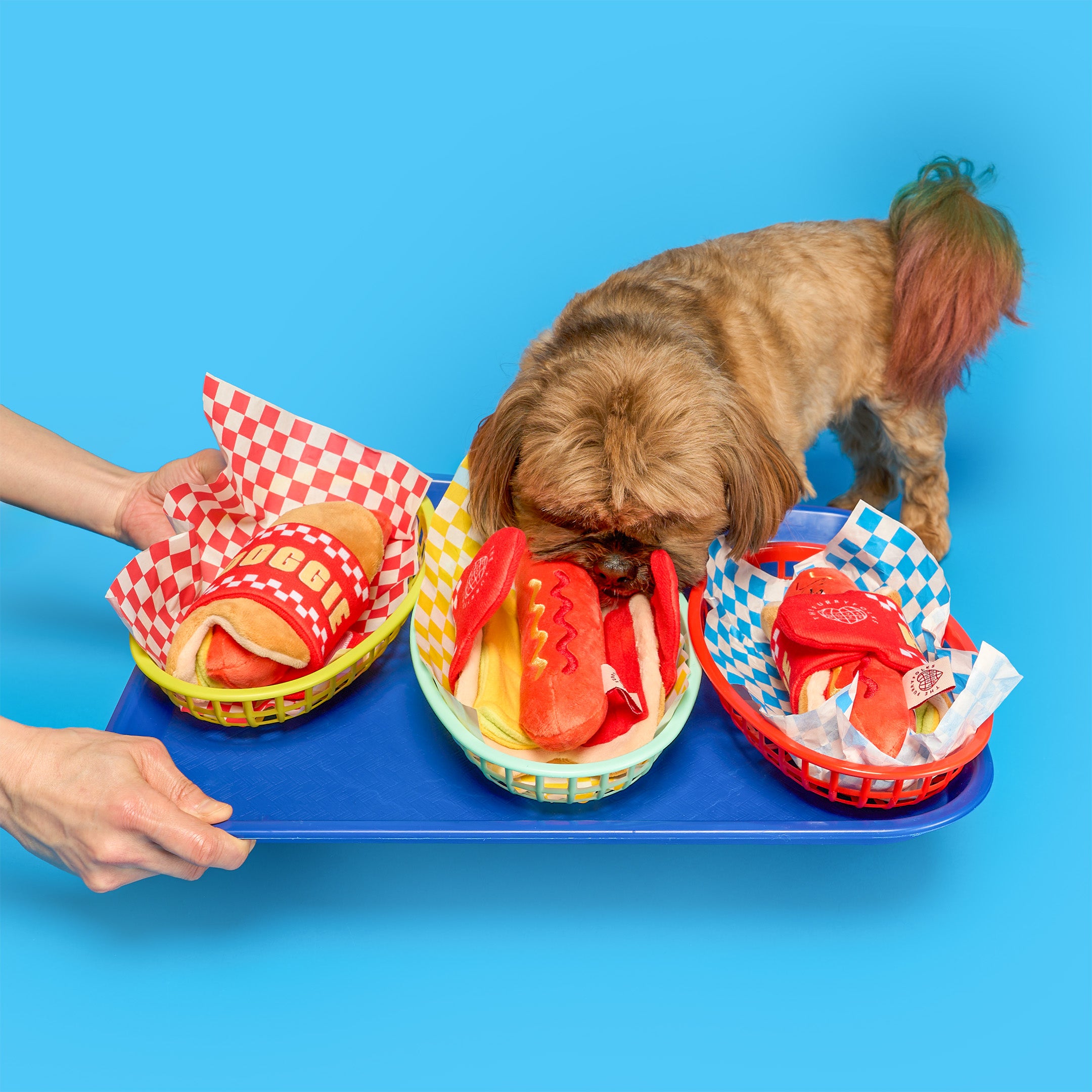Hot Doggie Nosework Toy
