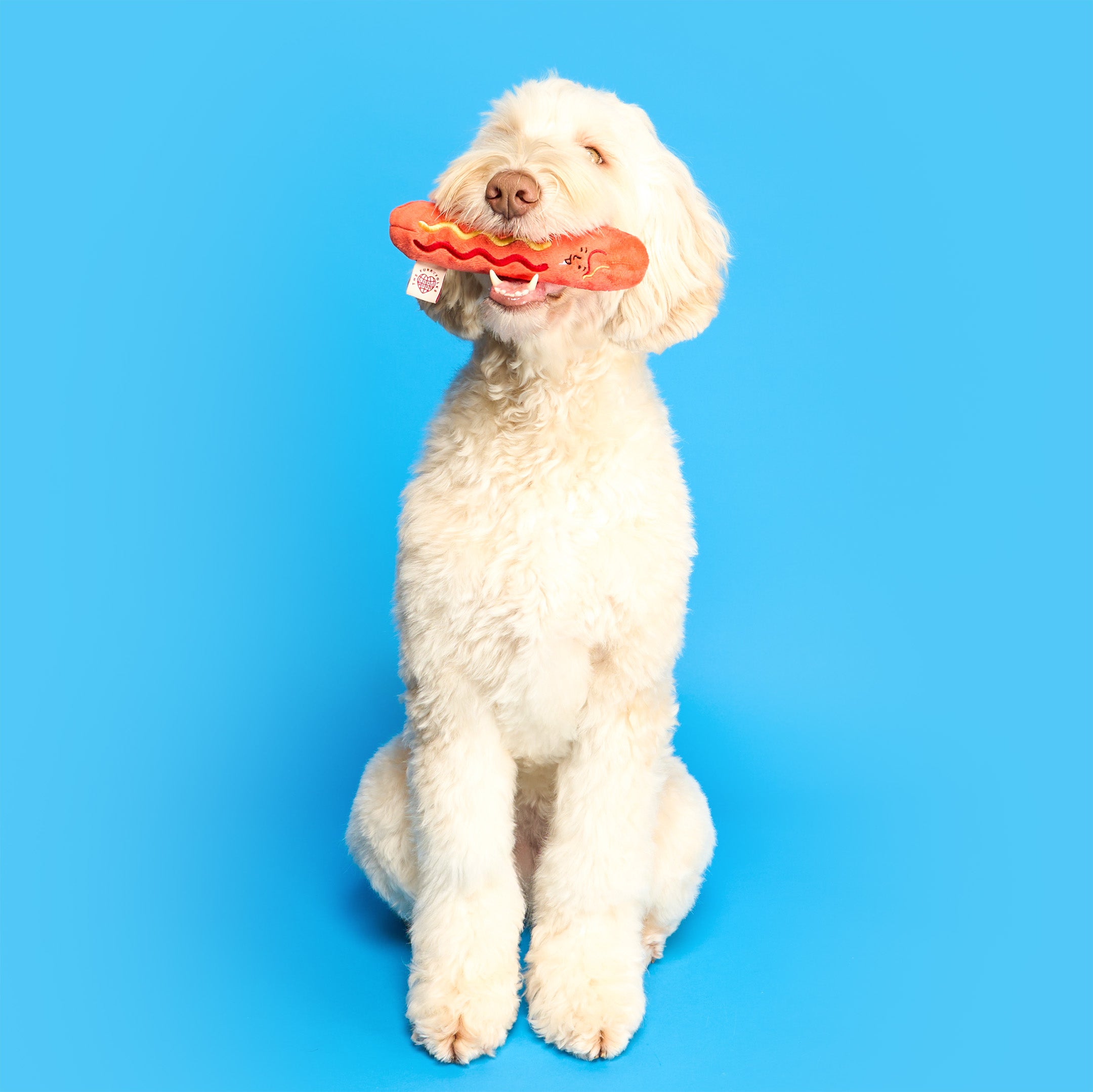 Hot Doggie Nosework Toy